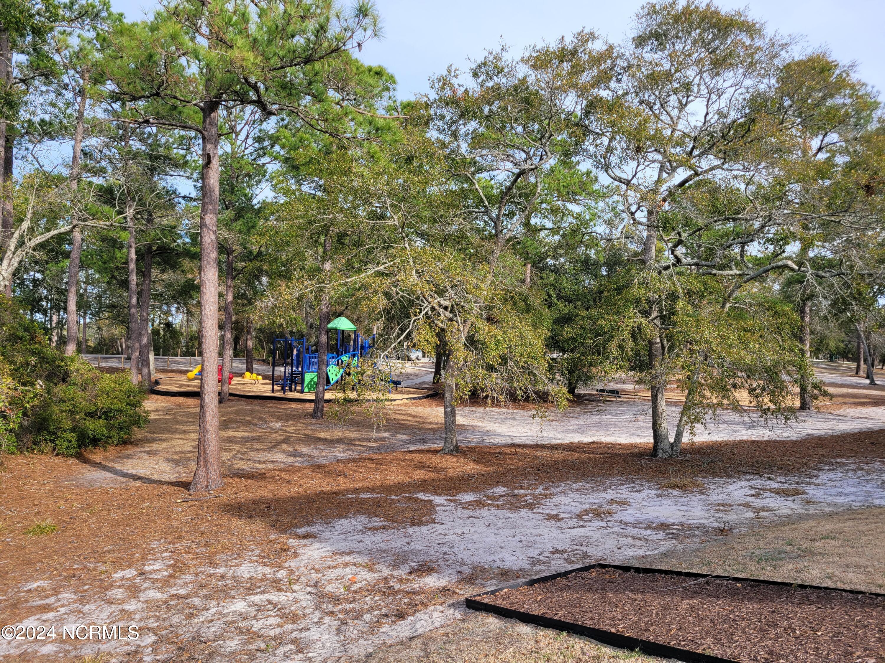 6554 Shark Tooth Trail Property Photo 41
