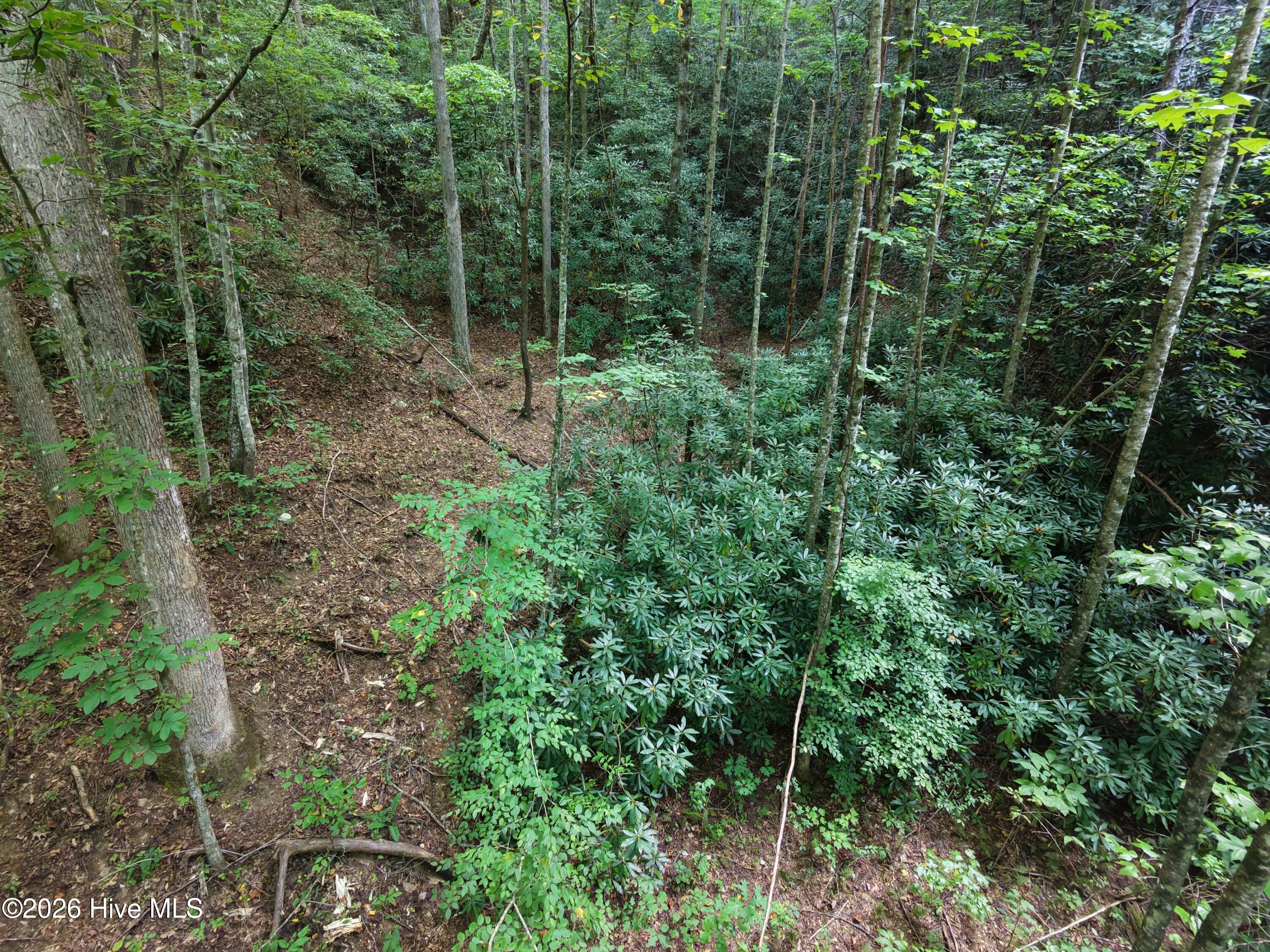 00 Collett Creek Road Property Photo 1
