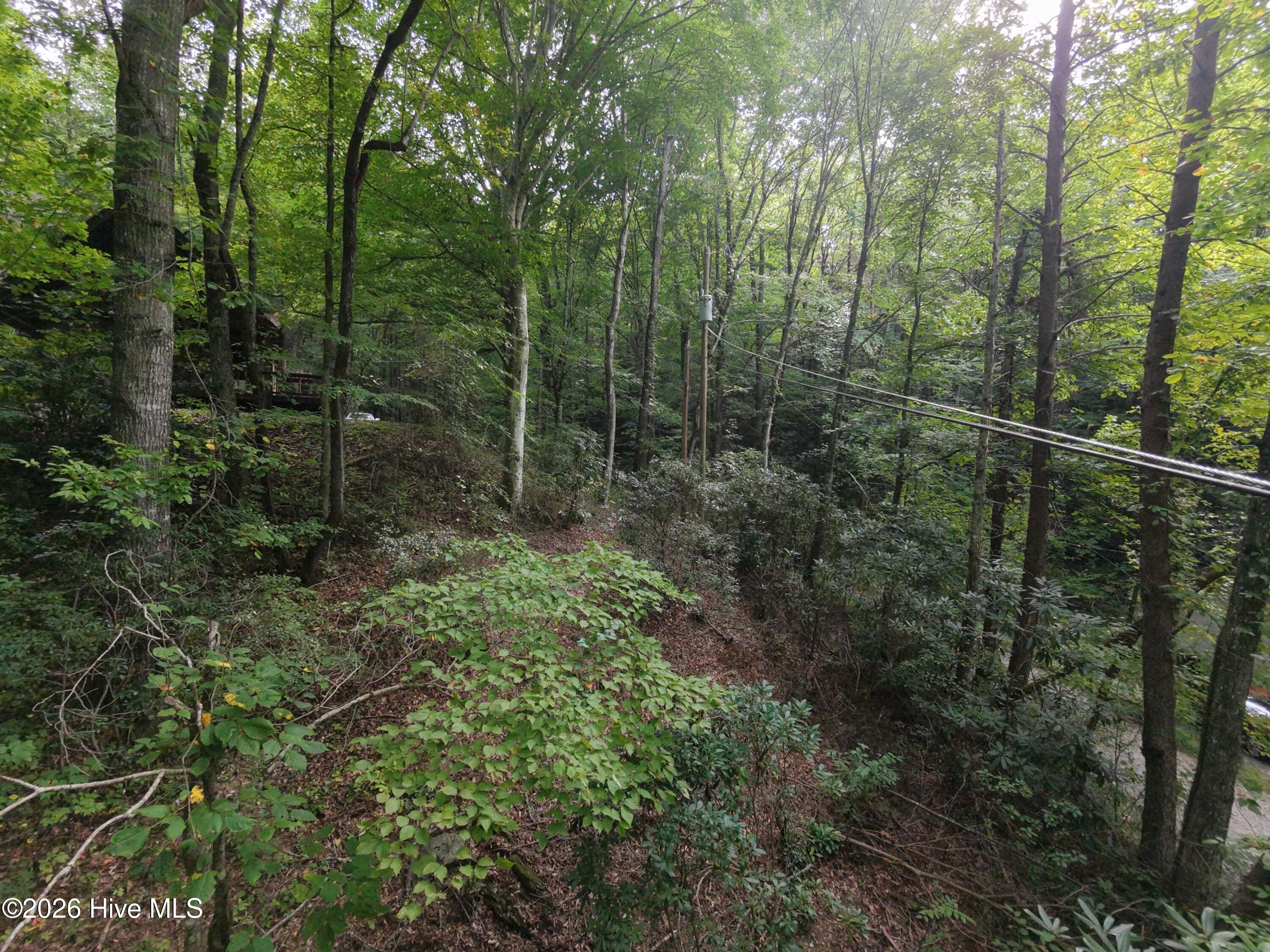 00 Collett Creek Road Property Photo 2