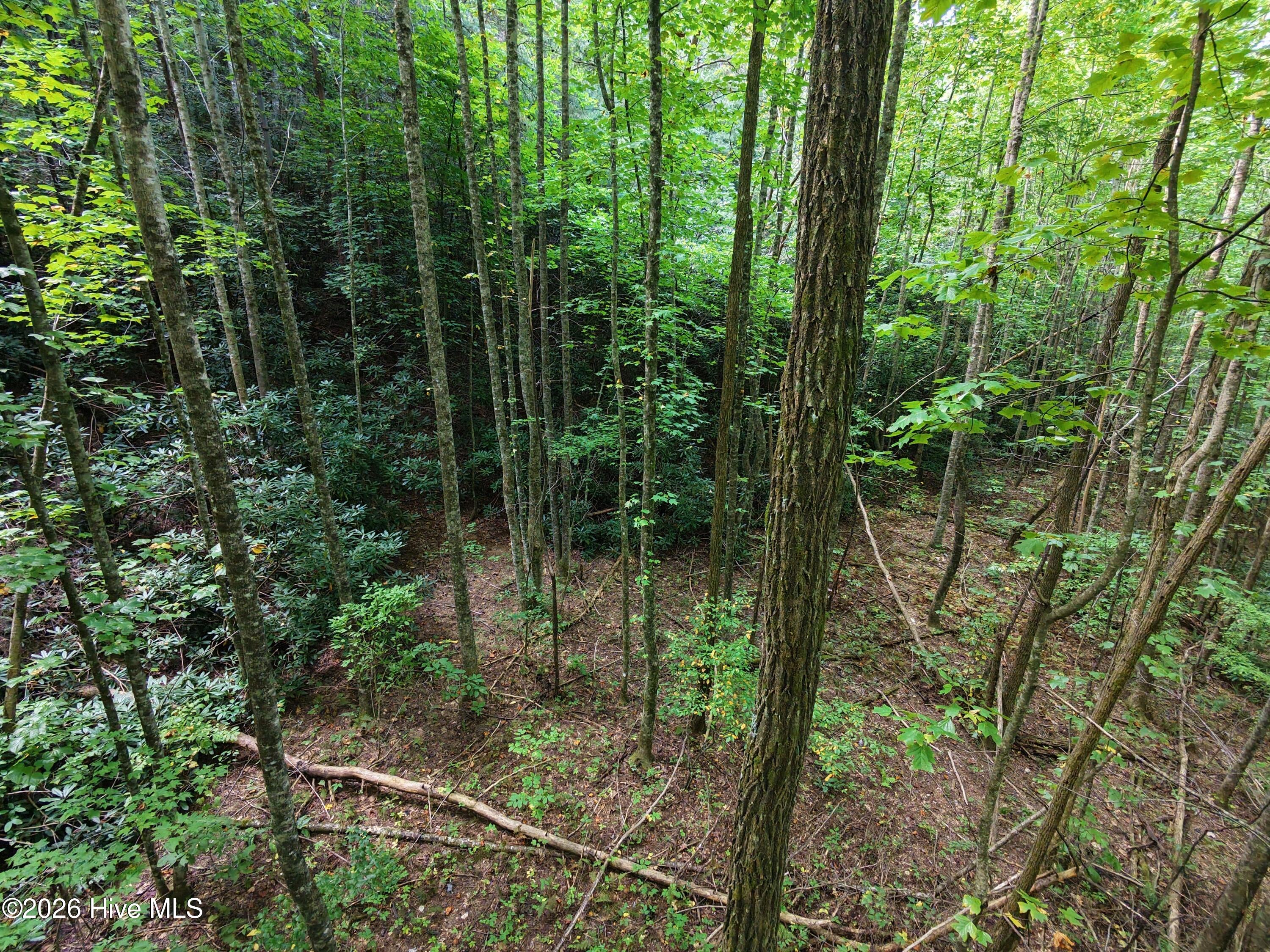 00 Collett Creek Road Property Photo 3