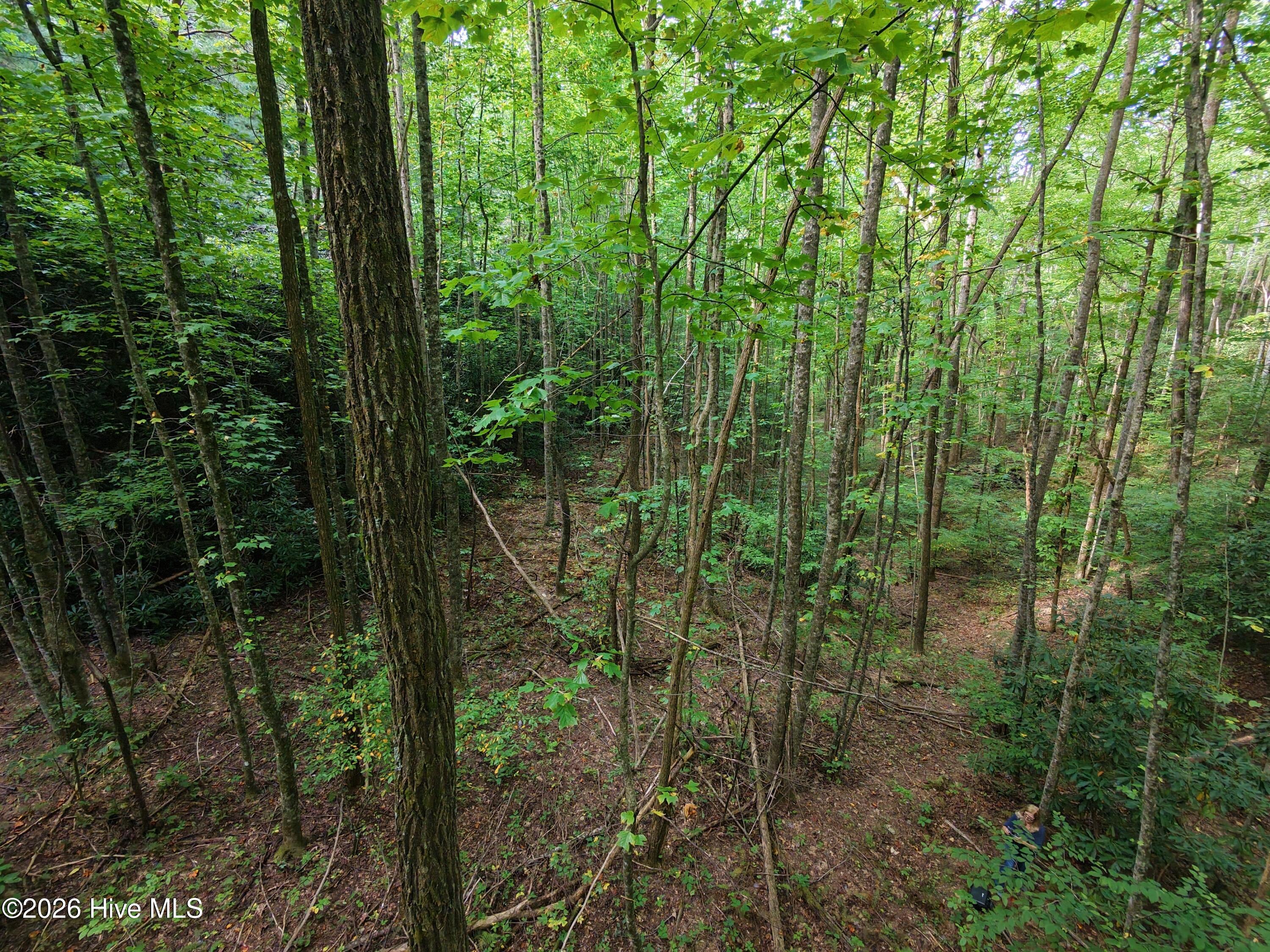 00 Collett Creek Road Property Photo 4