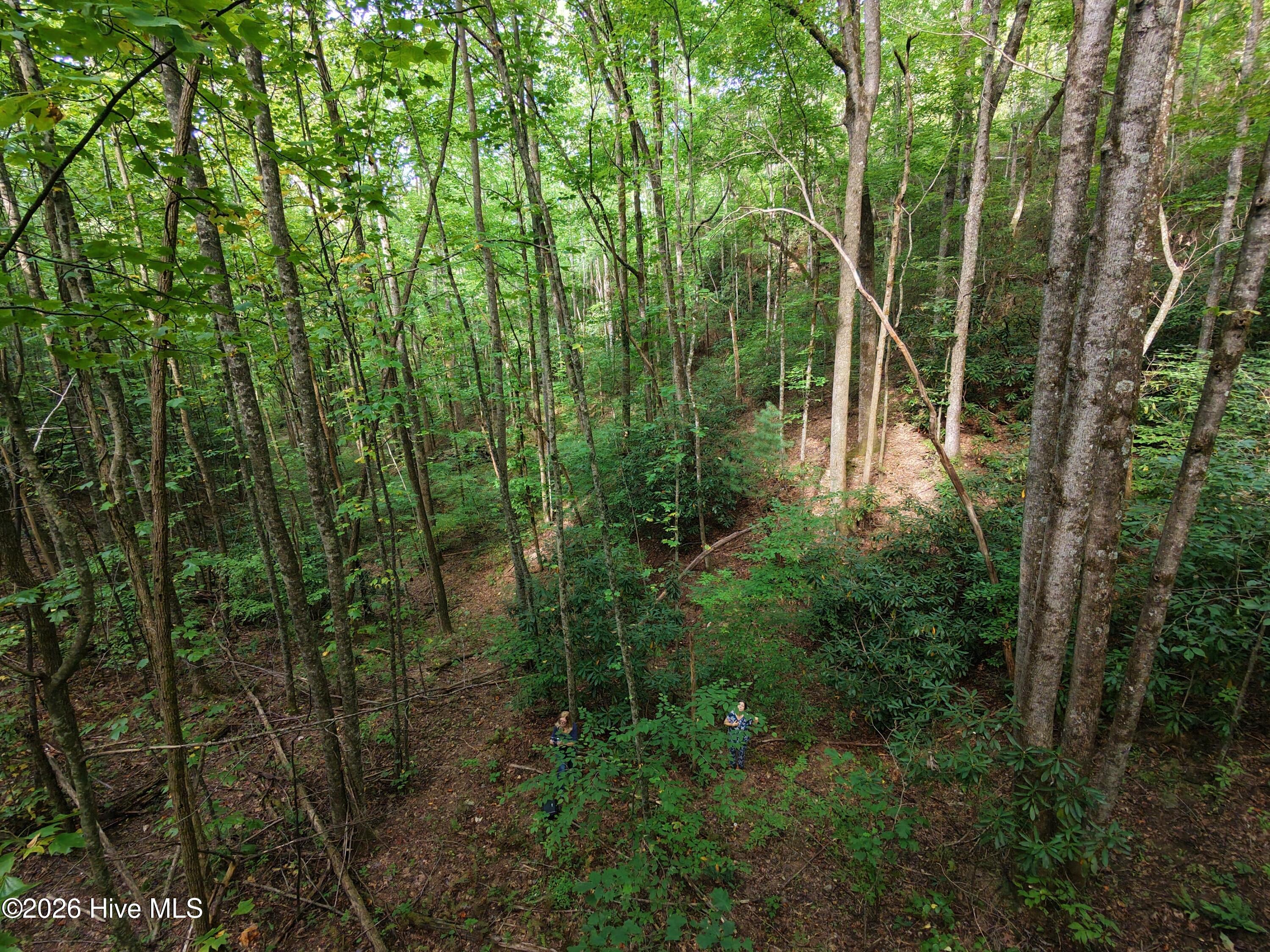 00 Collett Creek Road Property Photo 5