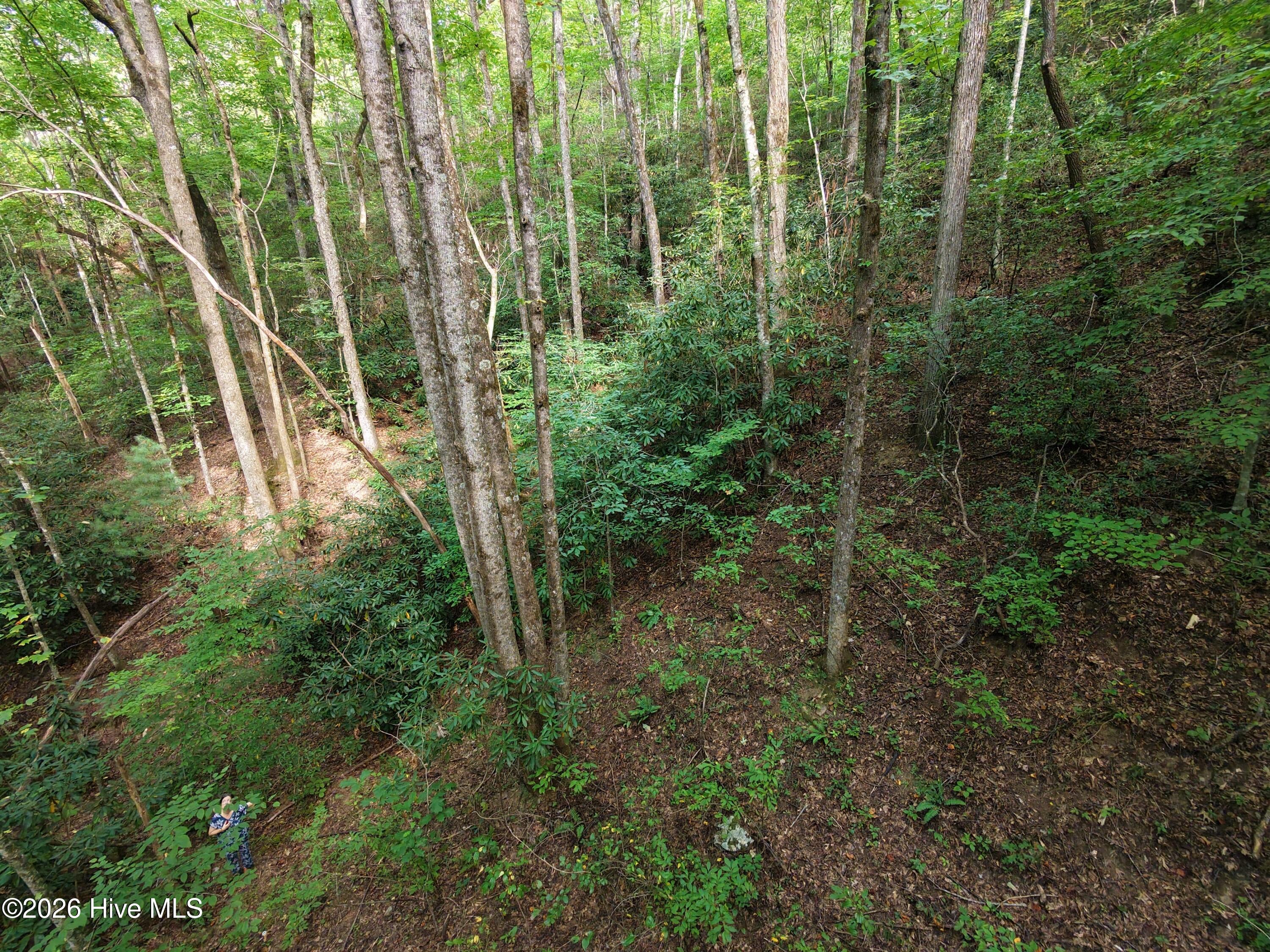 00 Collett Creek Road Property Photo 6
