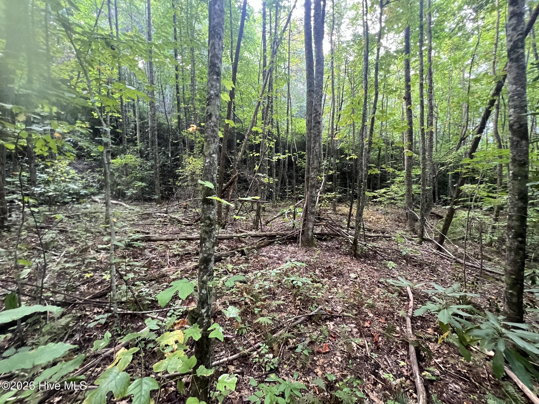 00 Collett Creek Road Property Photo 9