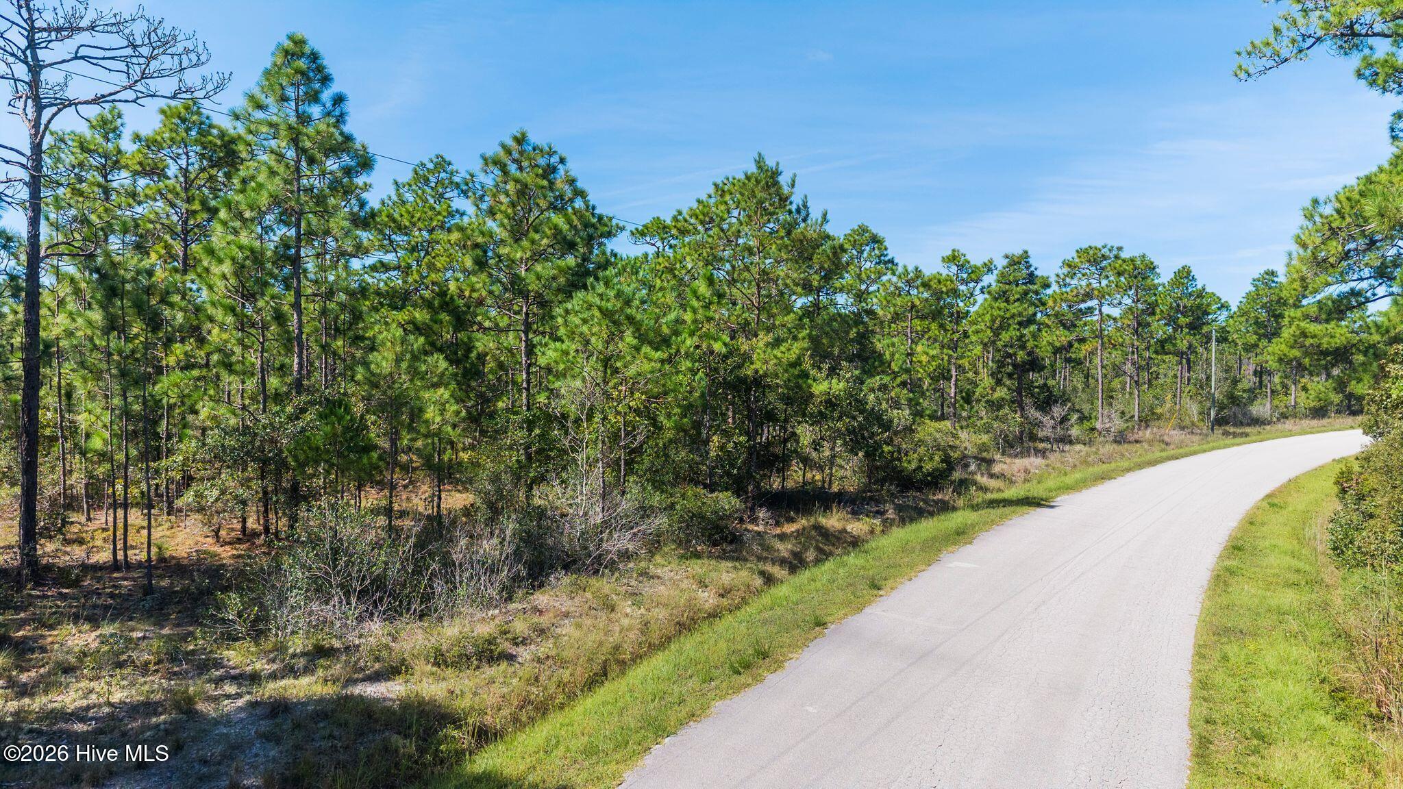 0.82ac Hines Stump Sound Church Road Property Photo 9