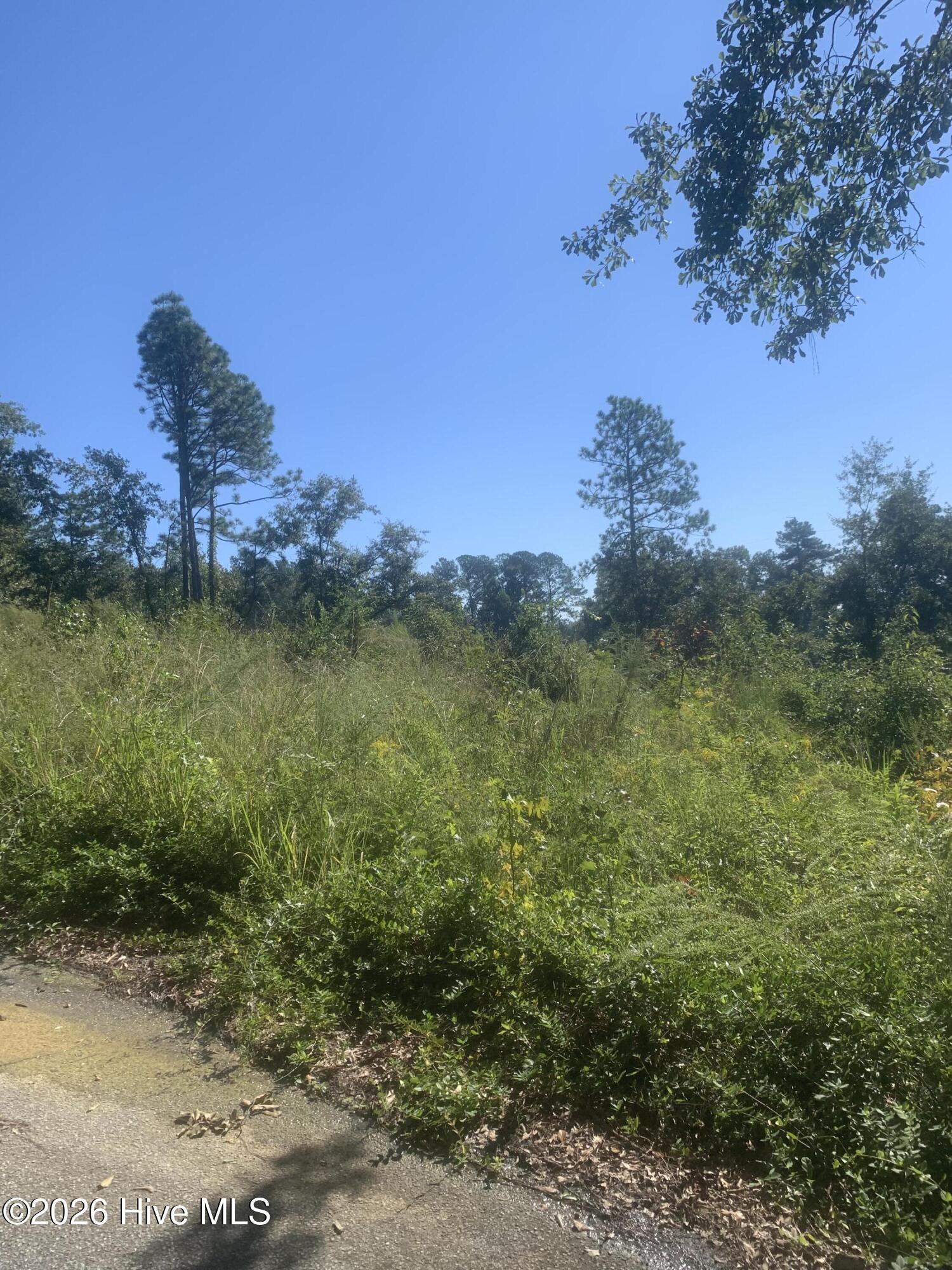 2331 Rutherford Avenue Property Photo 1