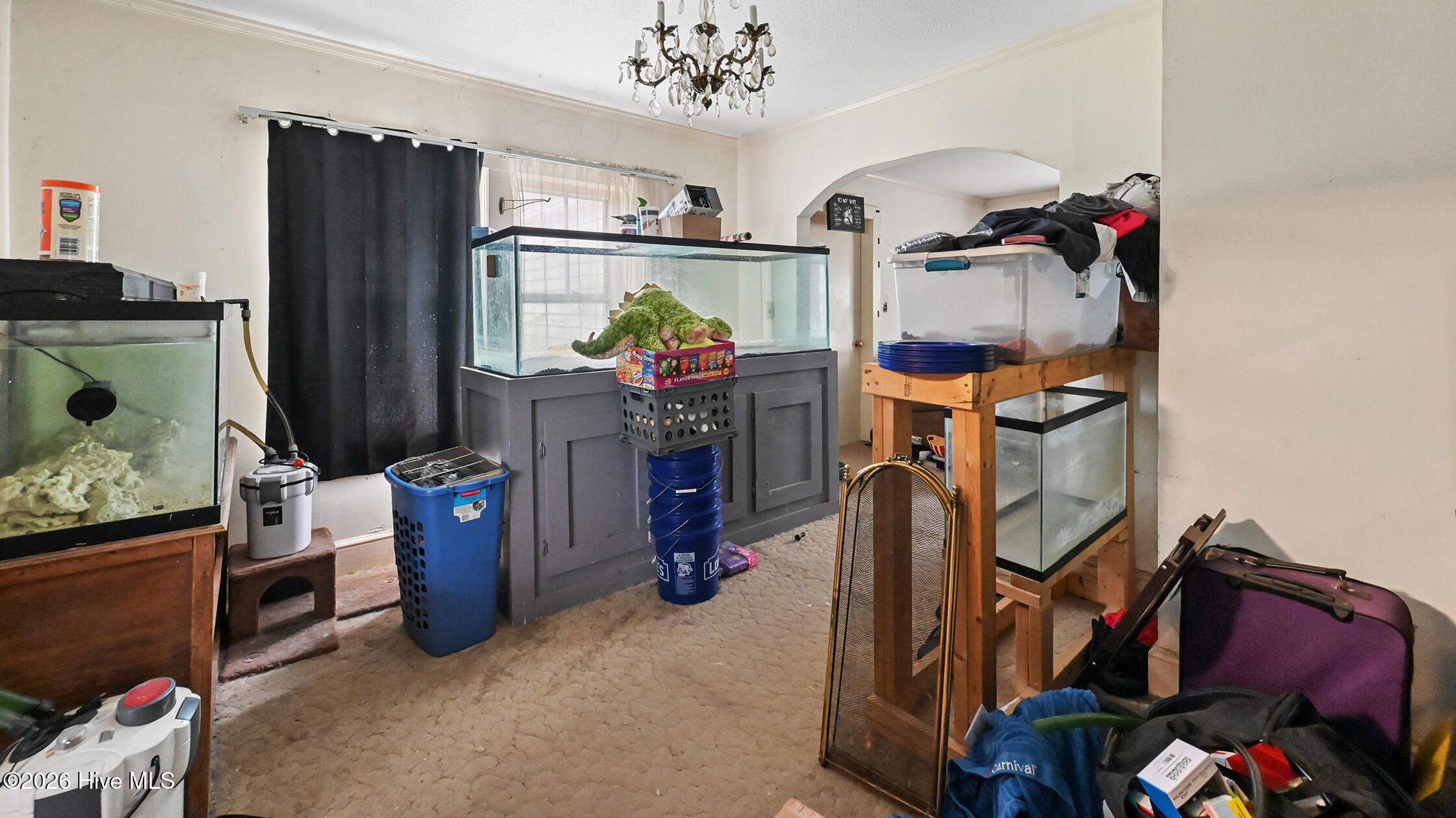 410 Antioch Road Property Photo 19