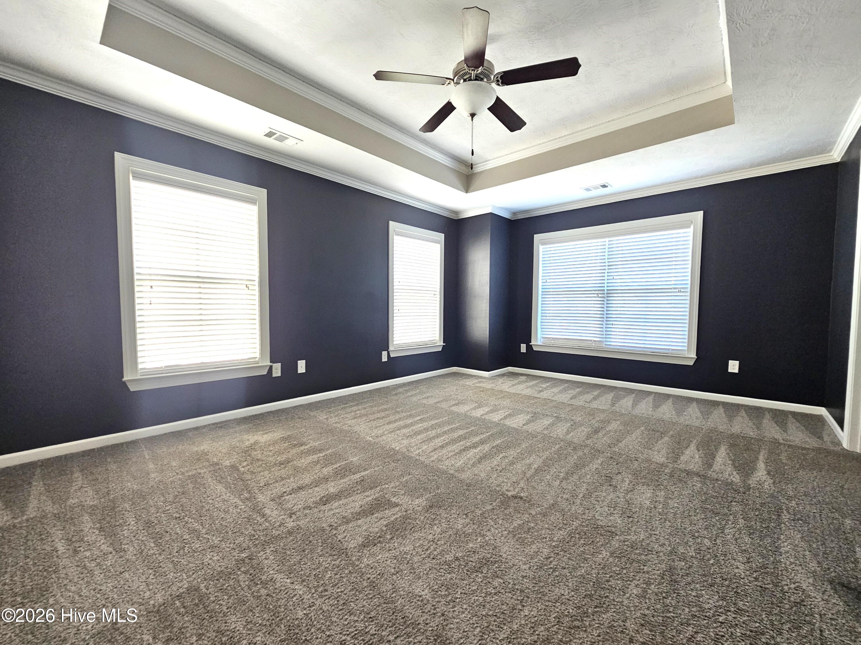 538 Bunchgrass Street Property Photo 12