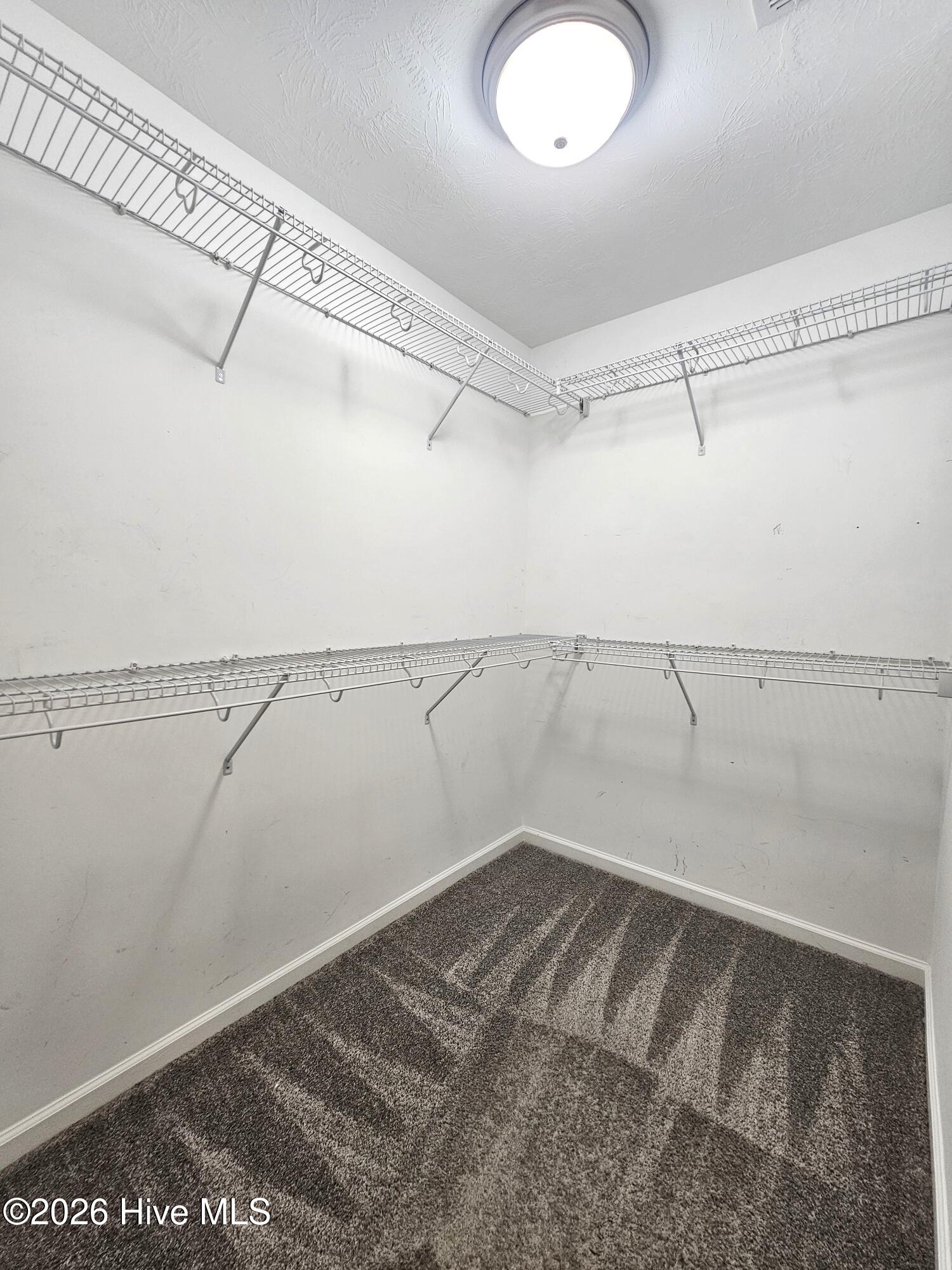 538 Bunchgrass Street Property Photo 15