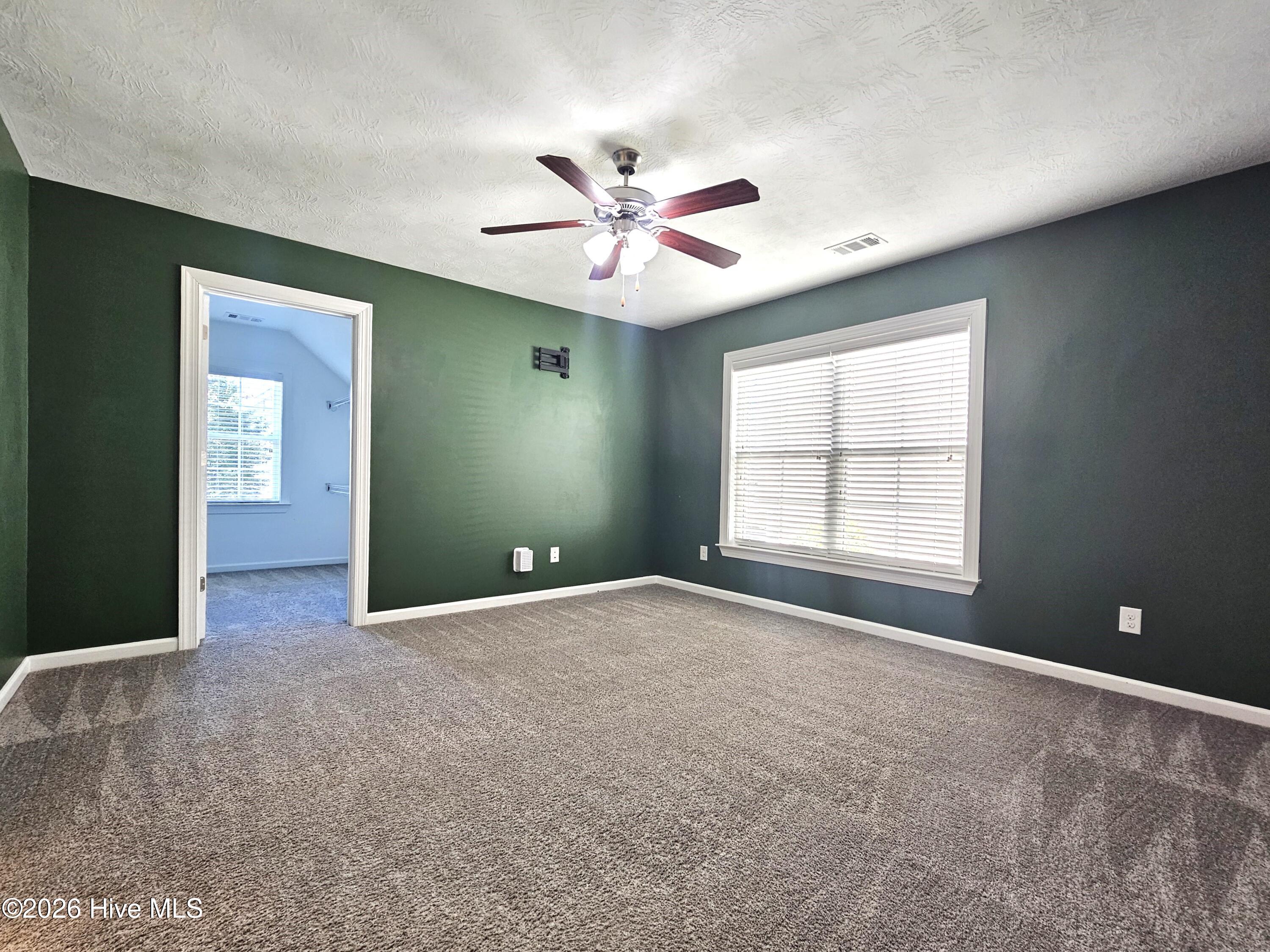 538 Bunchgrass Street Property Photo 20