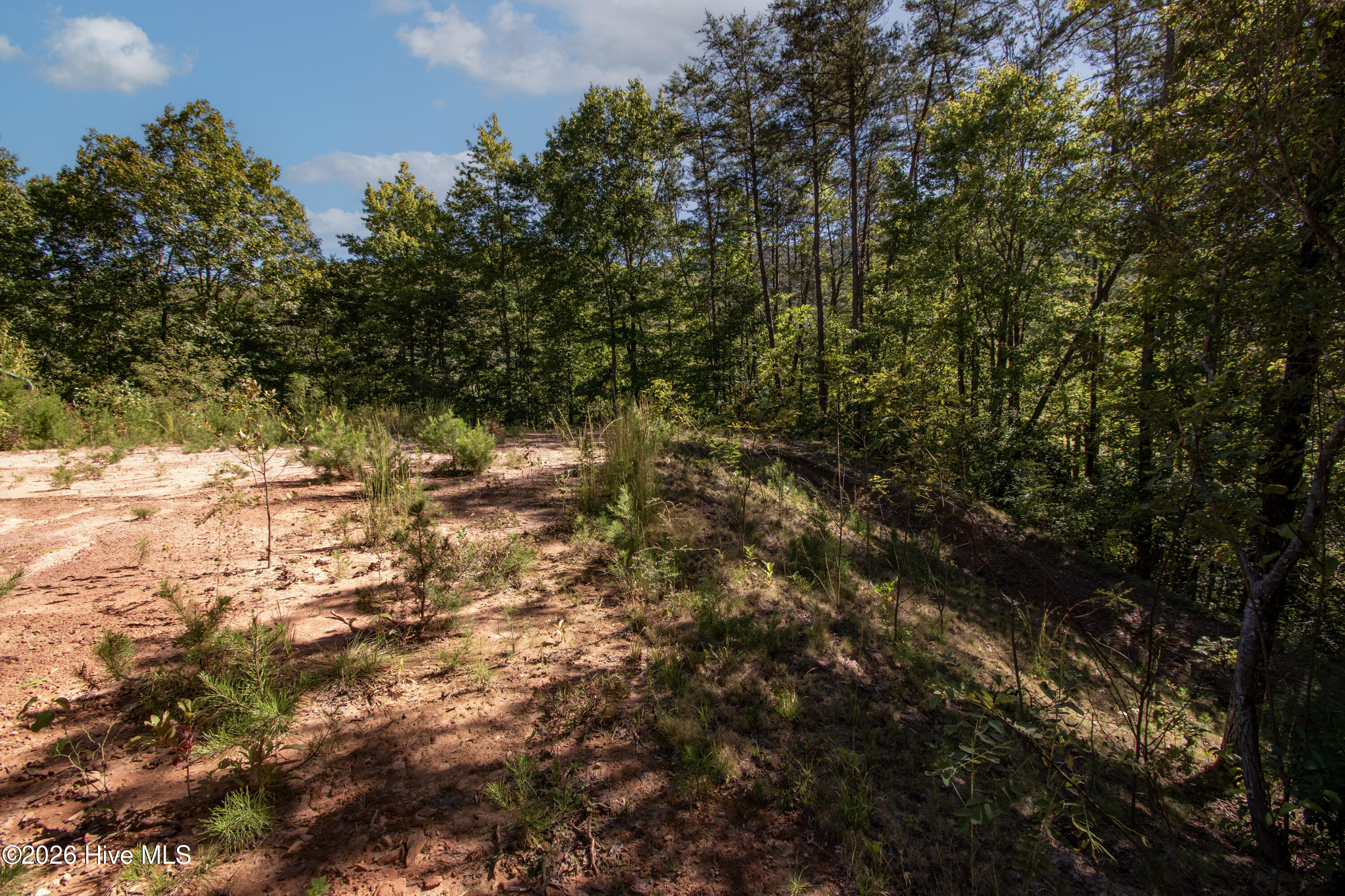 00 Upper Sawyers Creek Road Property Photo 4