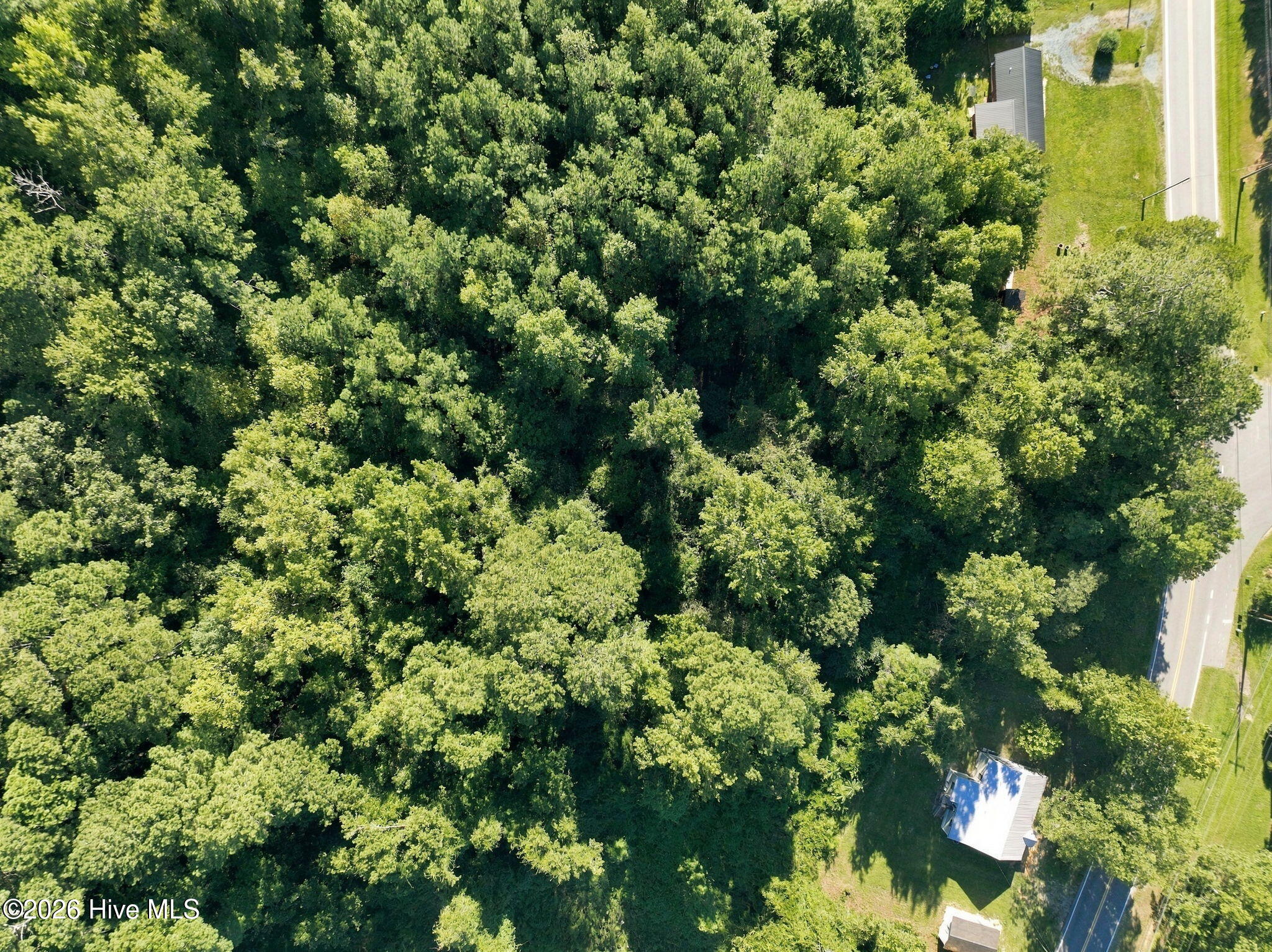 Tbd Dowd Road Property Photo 7