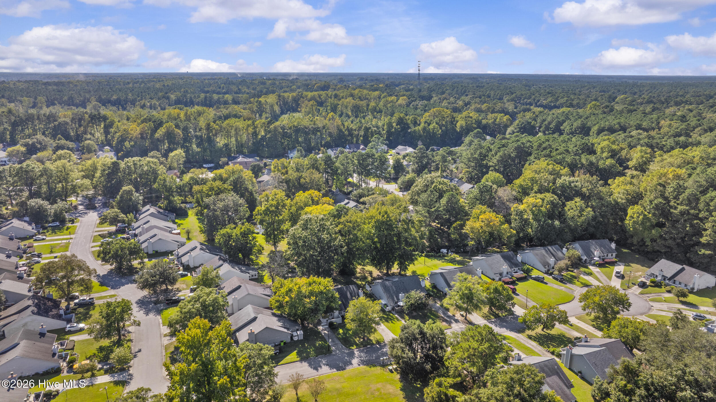 15a Masters Court Drive Property Photo 28