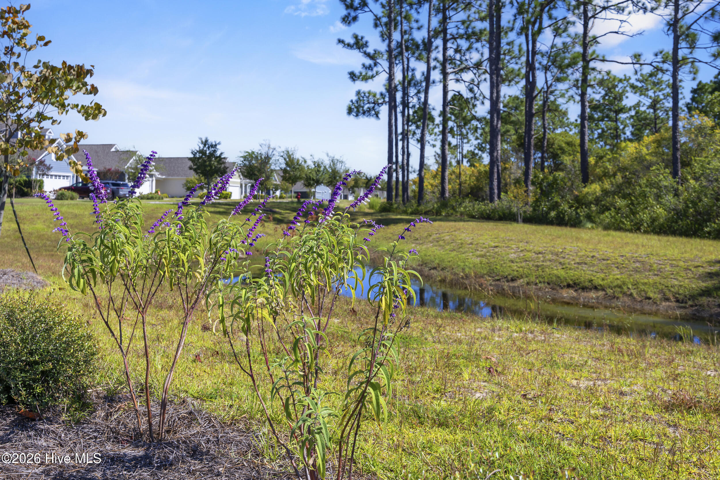 3205 Laughing Gull Terrace Property Photo 53