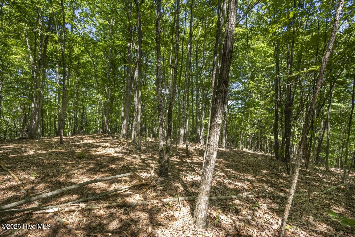 34 Ac Donley Road Property Photo 11