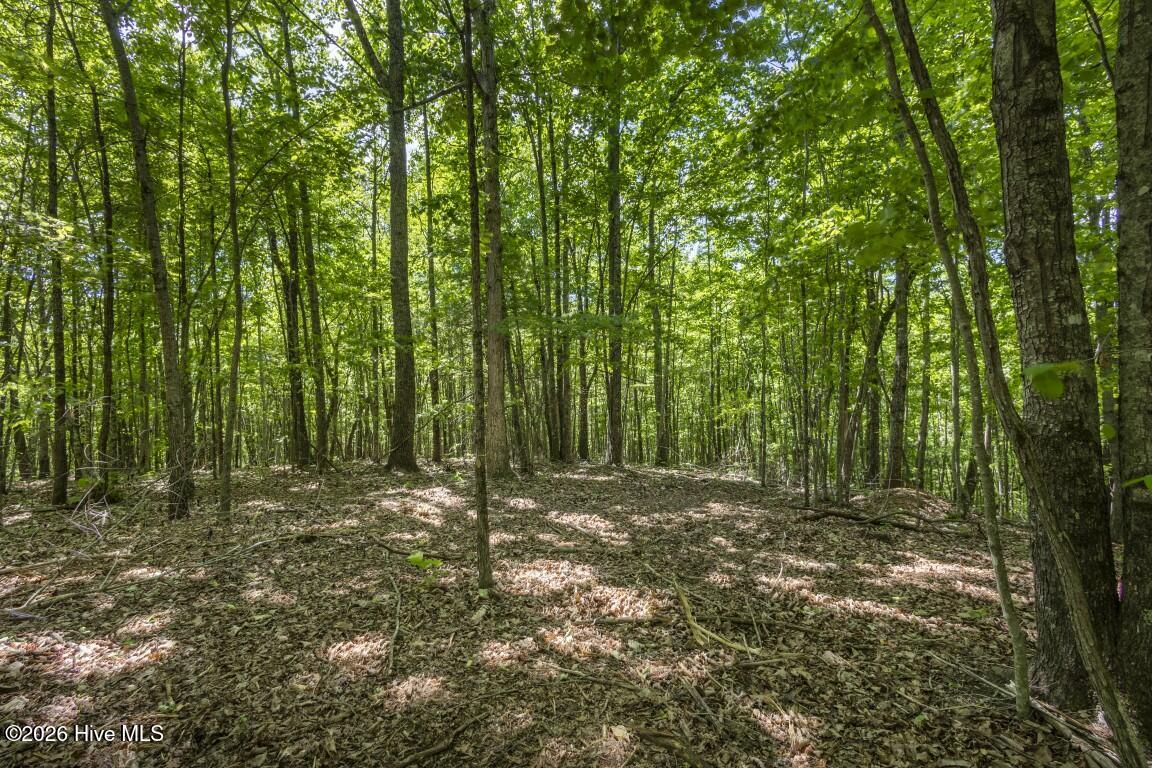 34 Ac Donley Road Property Photo 12
