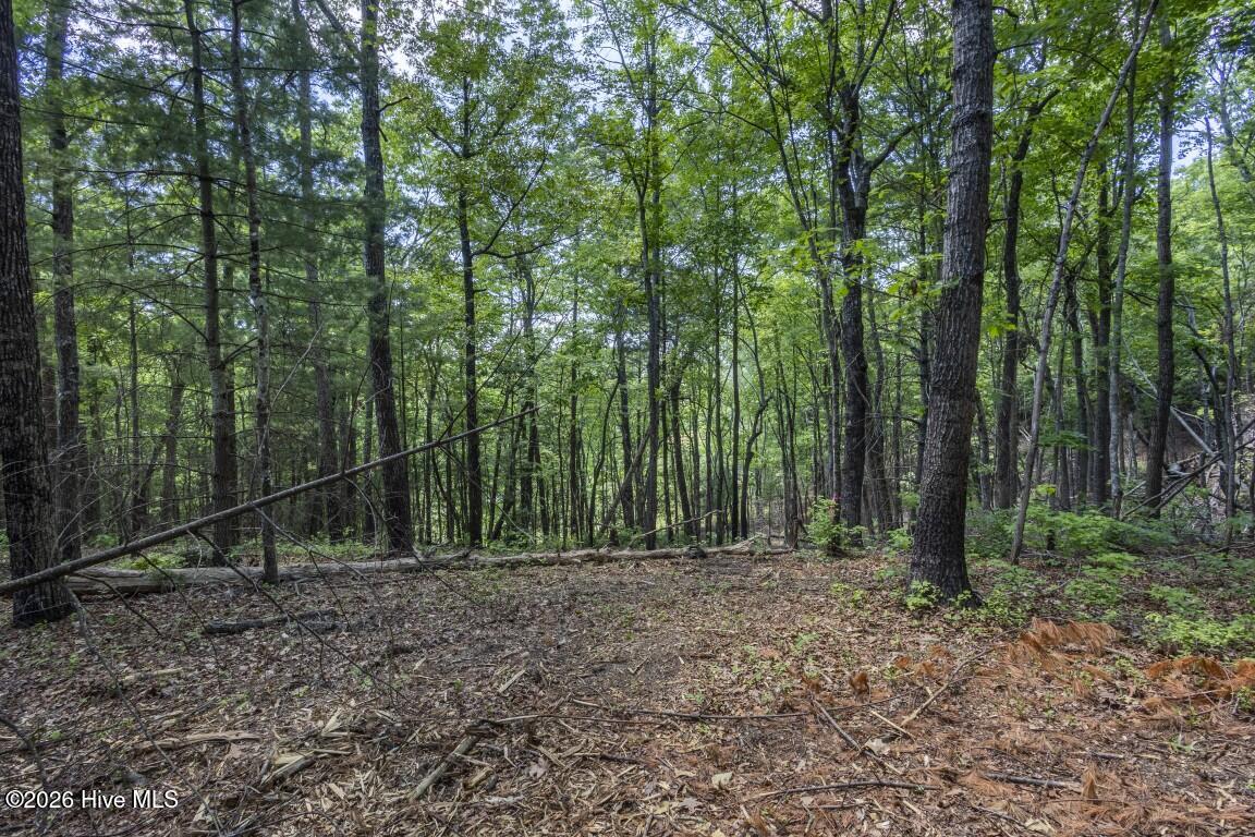 34 Ac Donley Road Property Photo 20