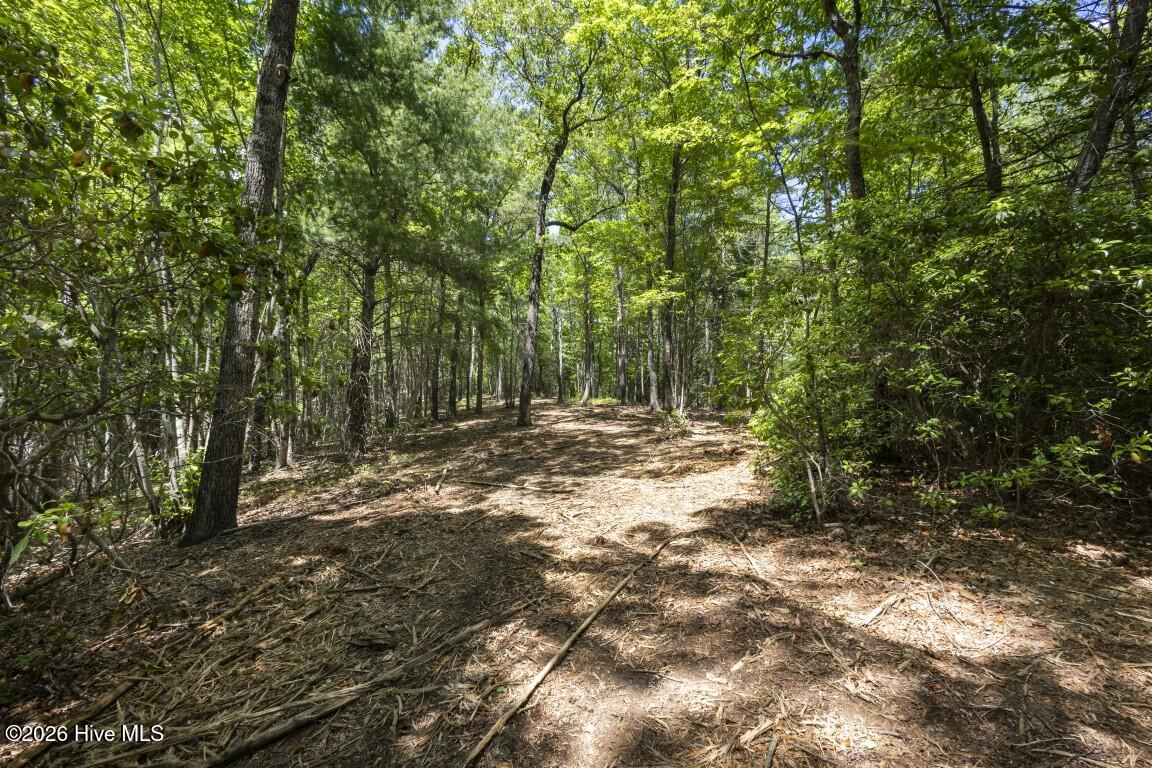 34 Ac Donley Road Property Photo 23