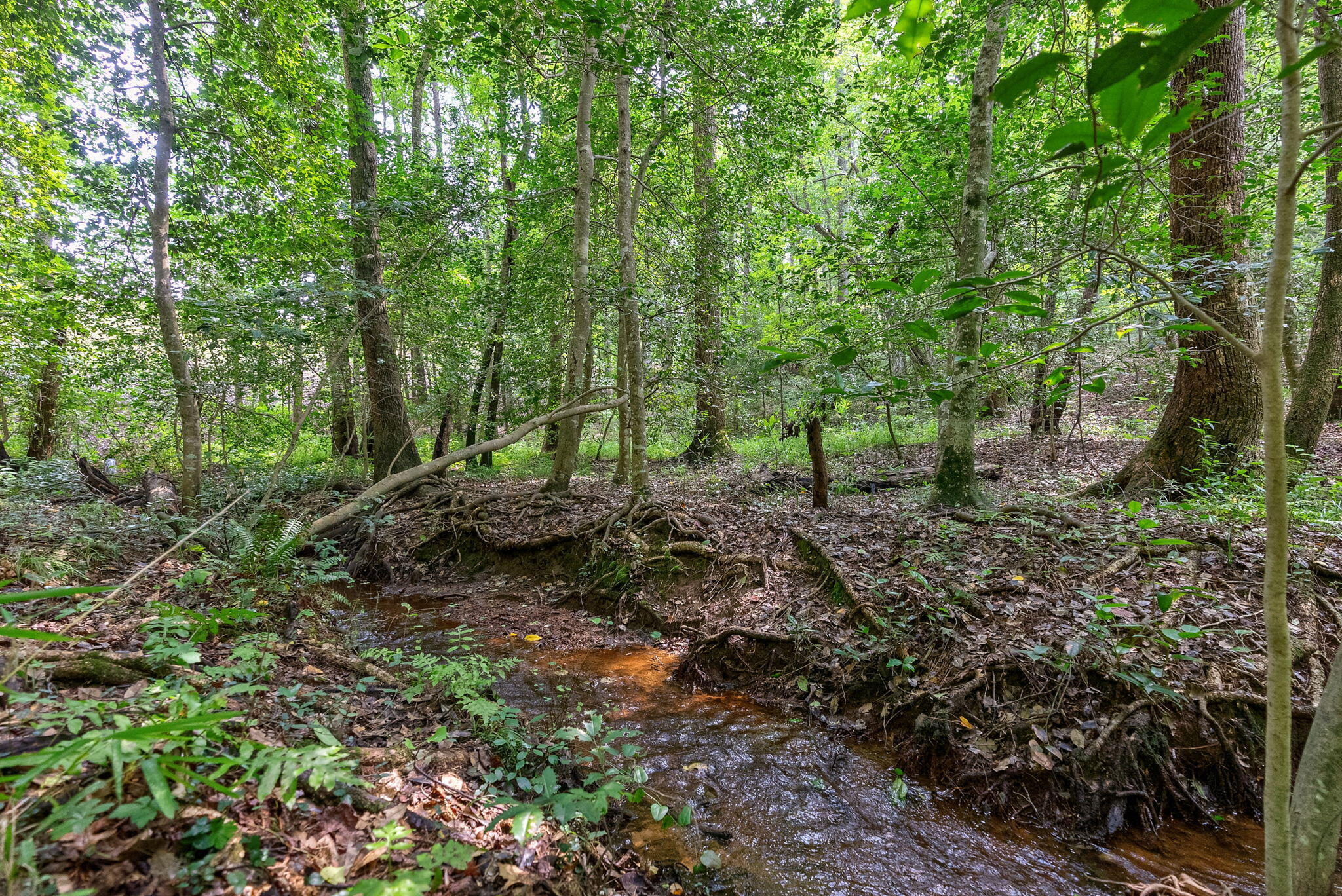 14 Woodspring Court Property Photo 4