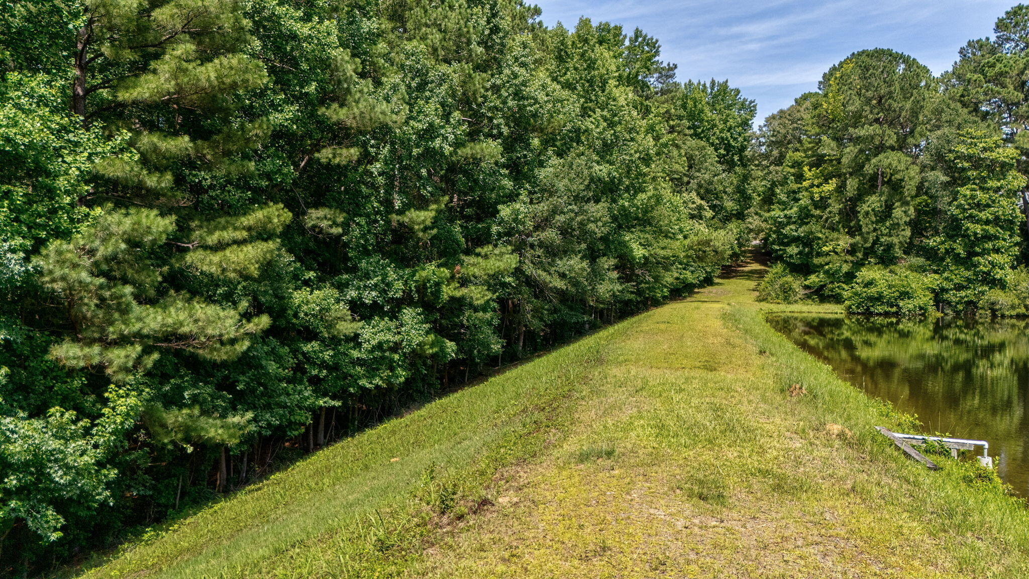 14 Woodspring Court Property Photo 9