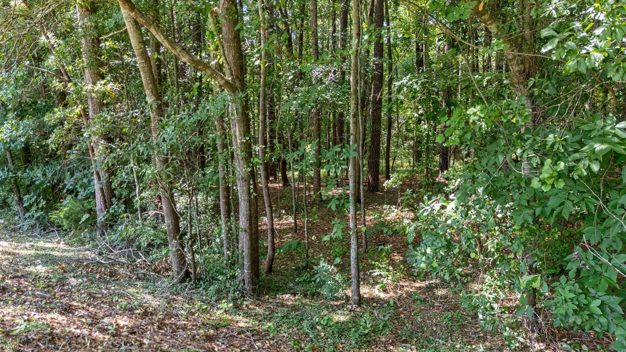 14 Woodspring Court Property Photo 10