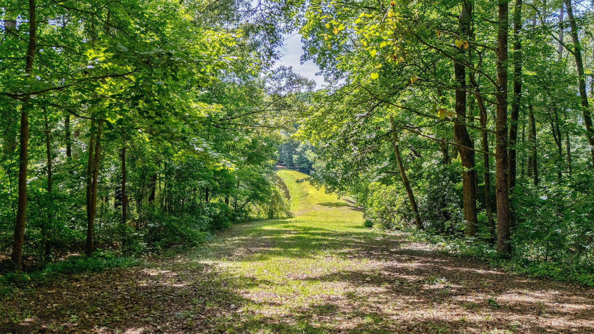 14 Woodspring Court Property Photo 11