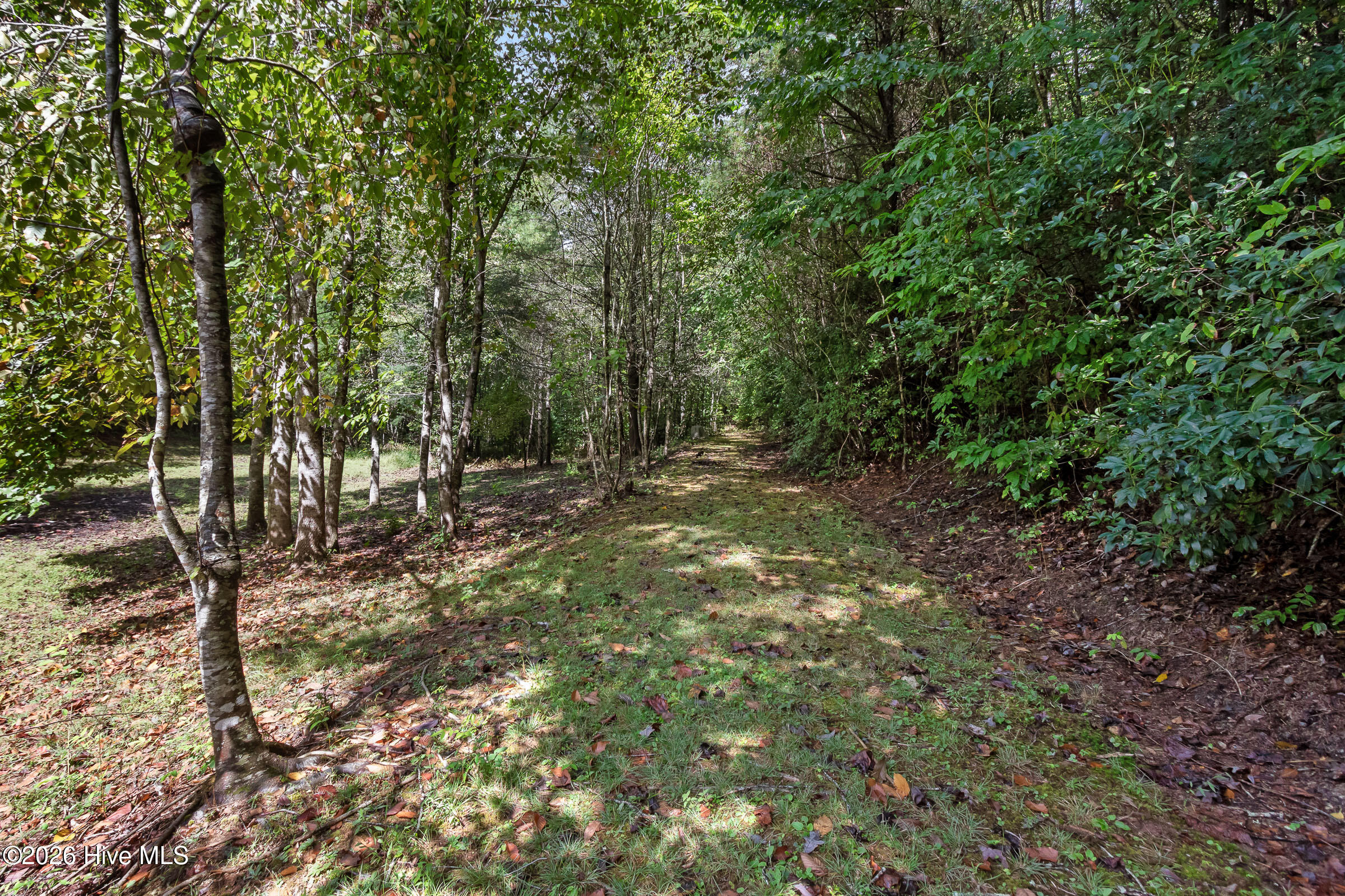 3270 Ebenezer Road Property Photo 86