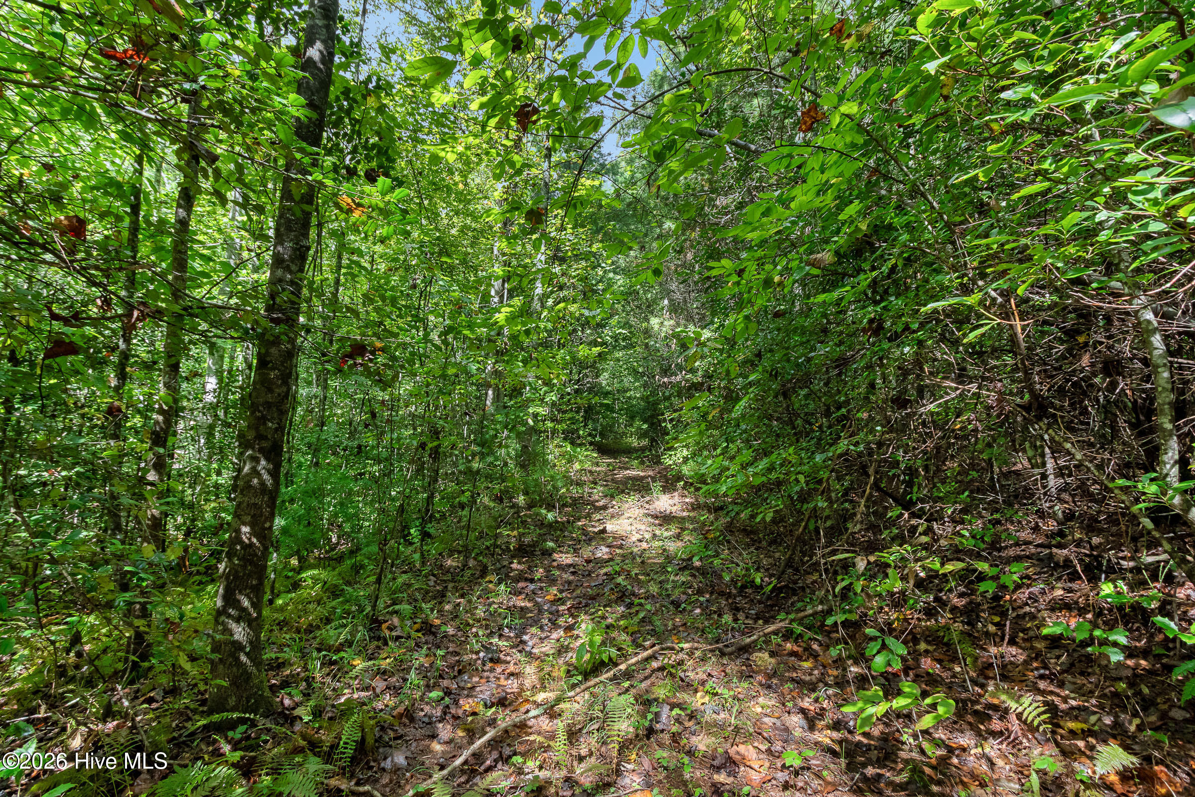 3270 Ebenezer Road Property Photo 88