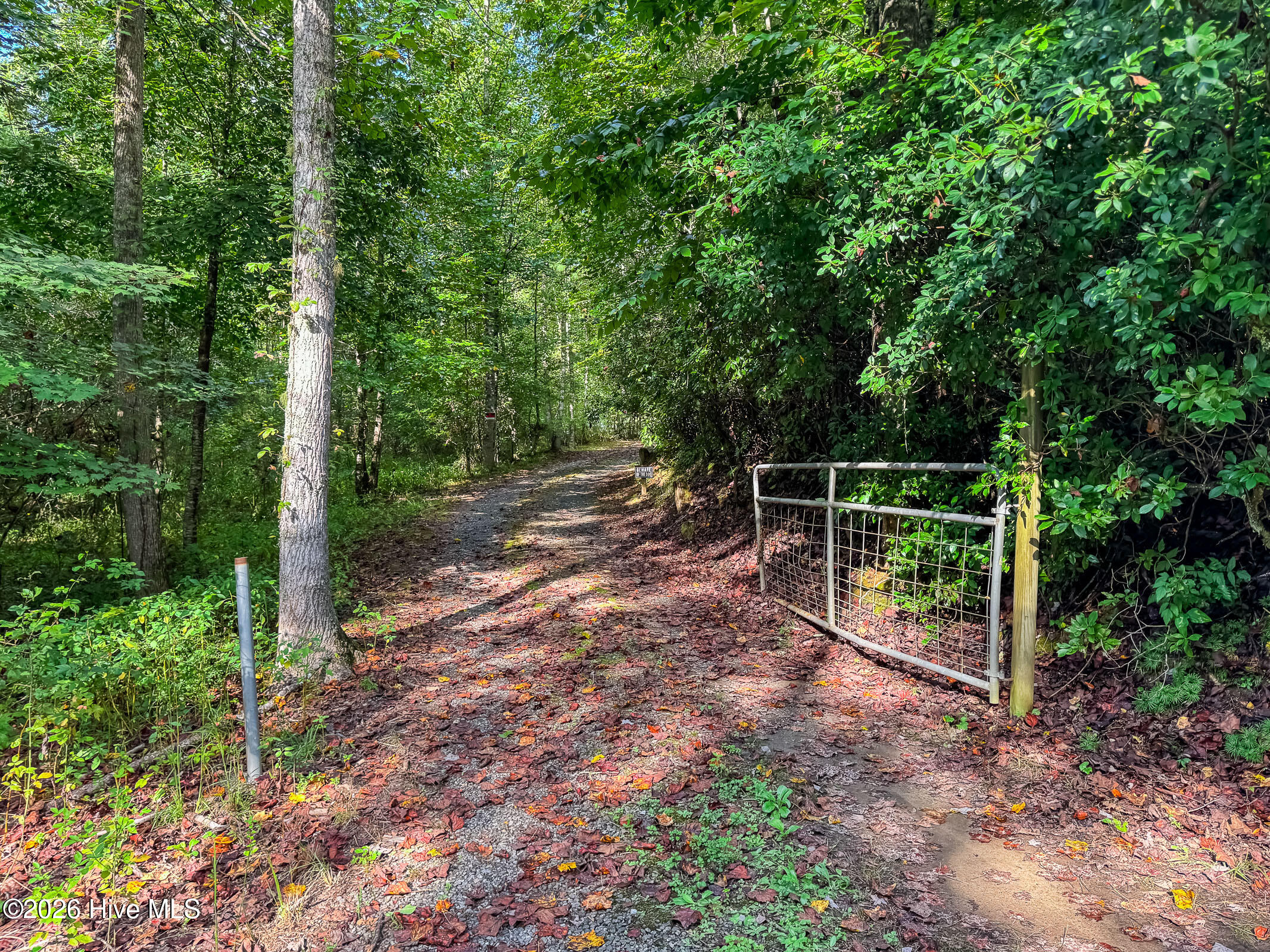 3270 Ebenezer Road Property Photo 100