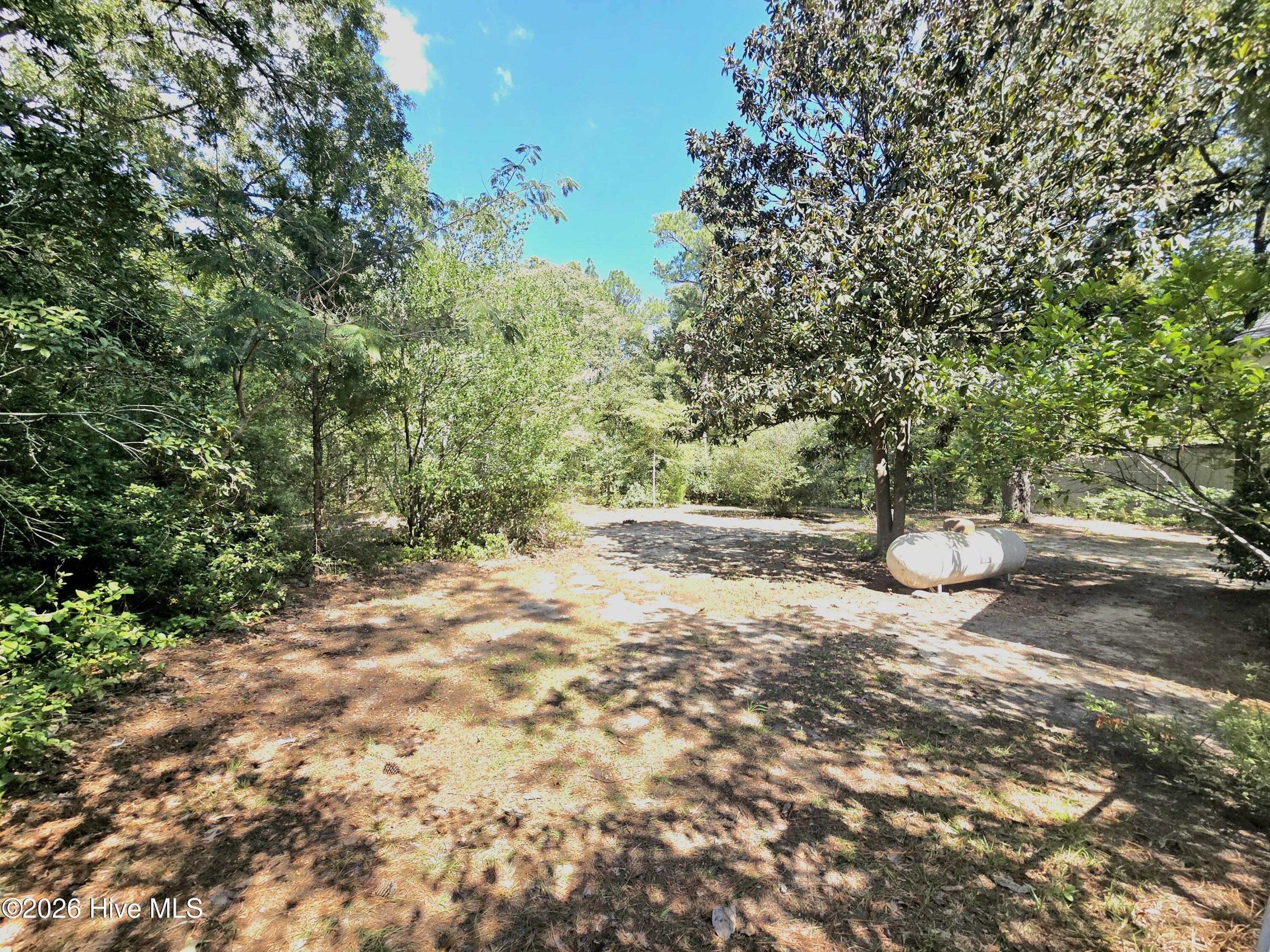12381 Blues Farm Road Property Photo 20