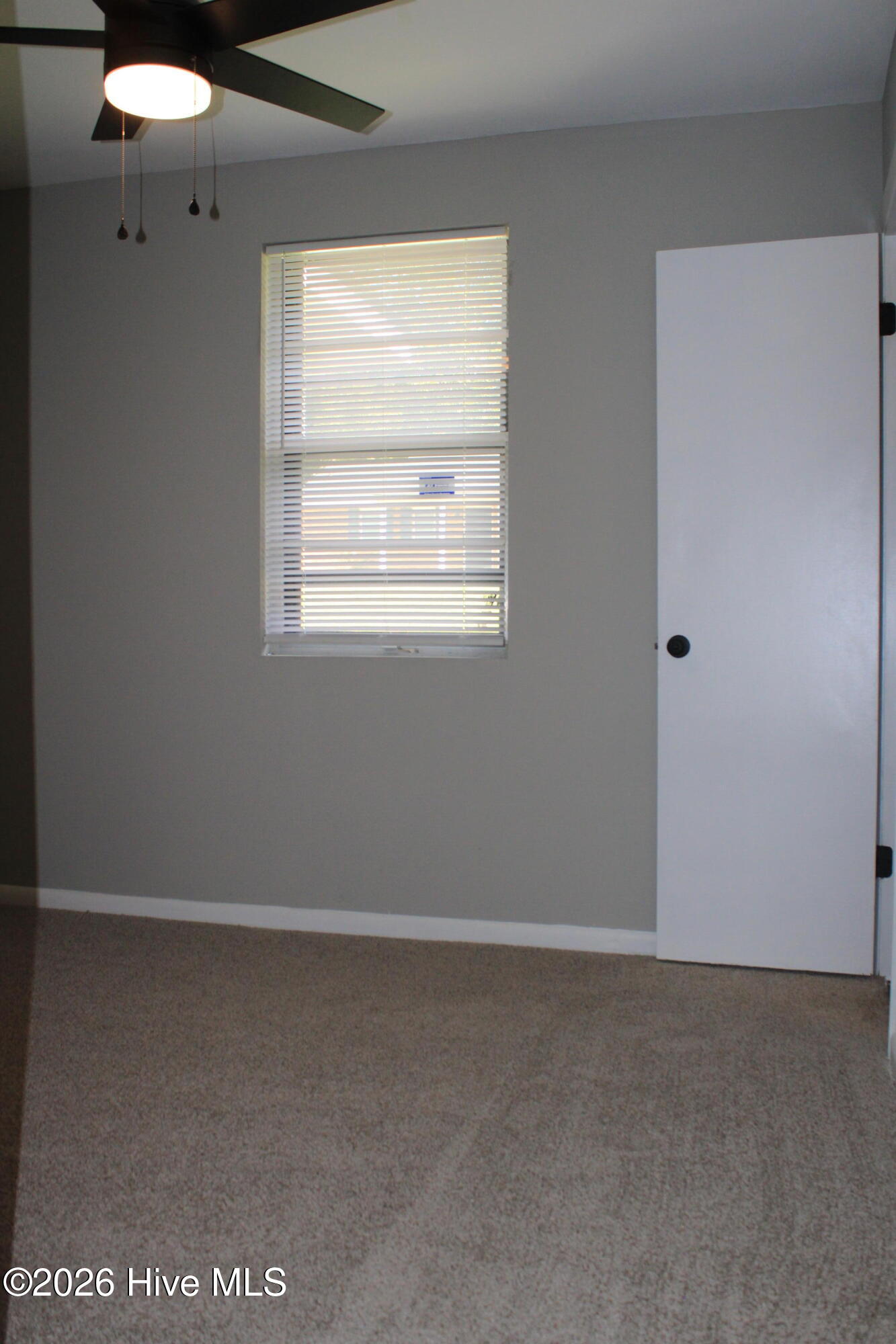 3419 Lucie Street Property Photo 23