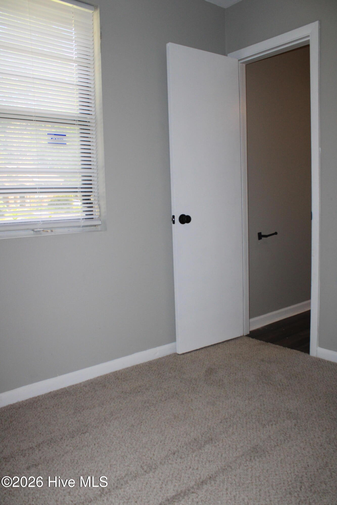 3419 Lucie Street Property Photo 24