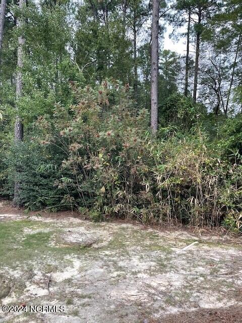 5 62 Raintree Court Property Photo 2