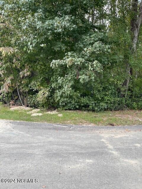 5 62 Raintree Court Property Photo 4