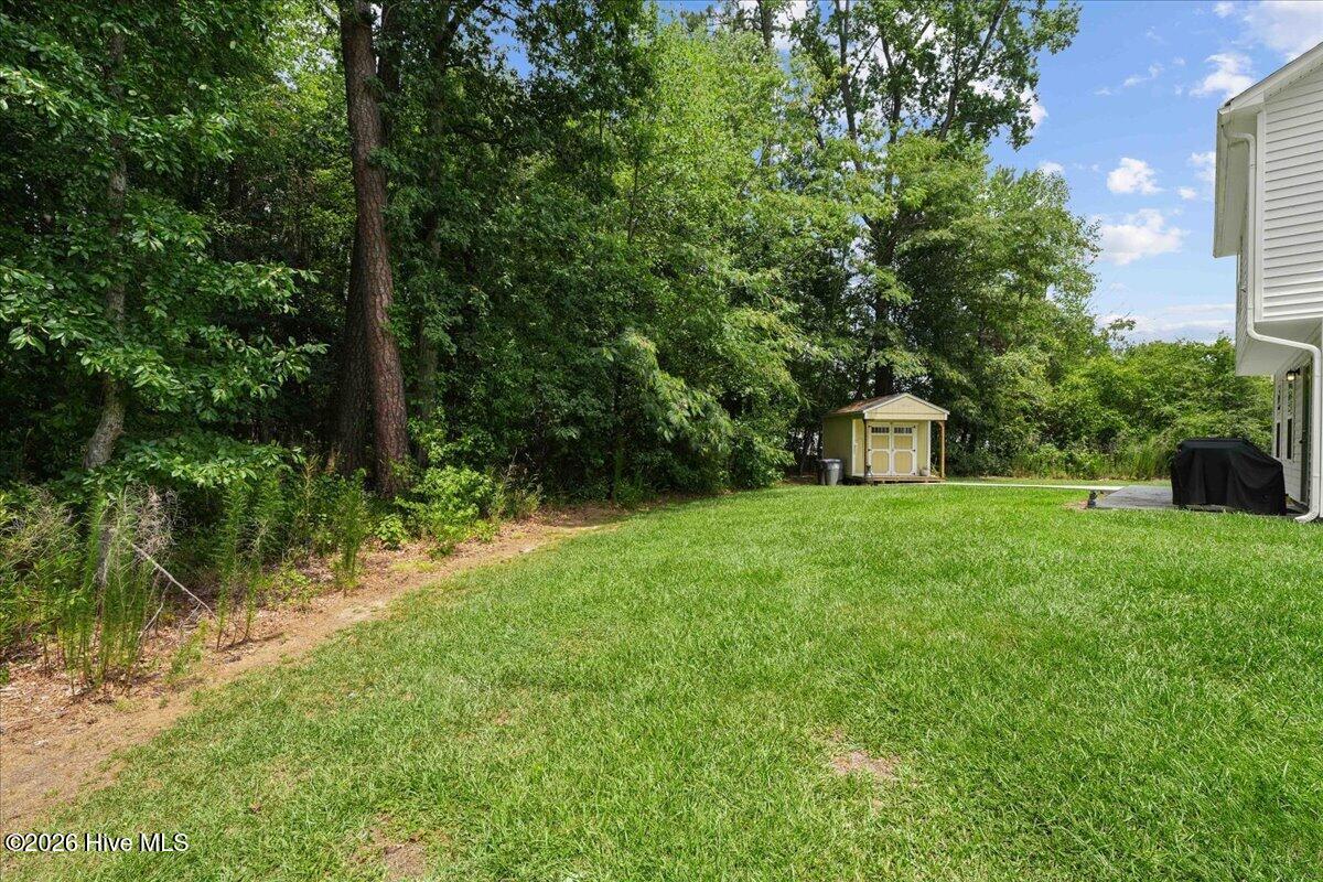 4225 Meadowview Lane Property Photo 41