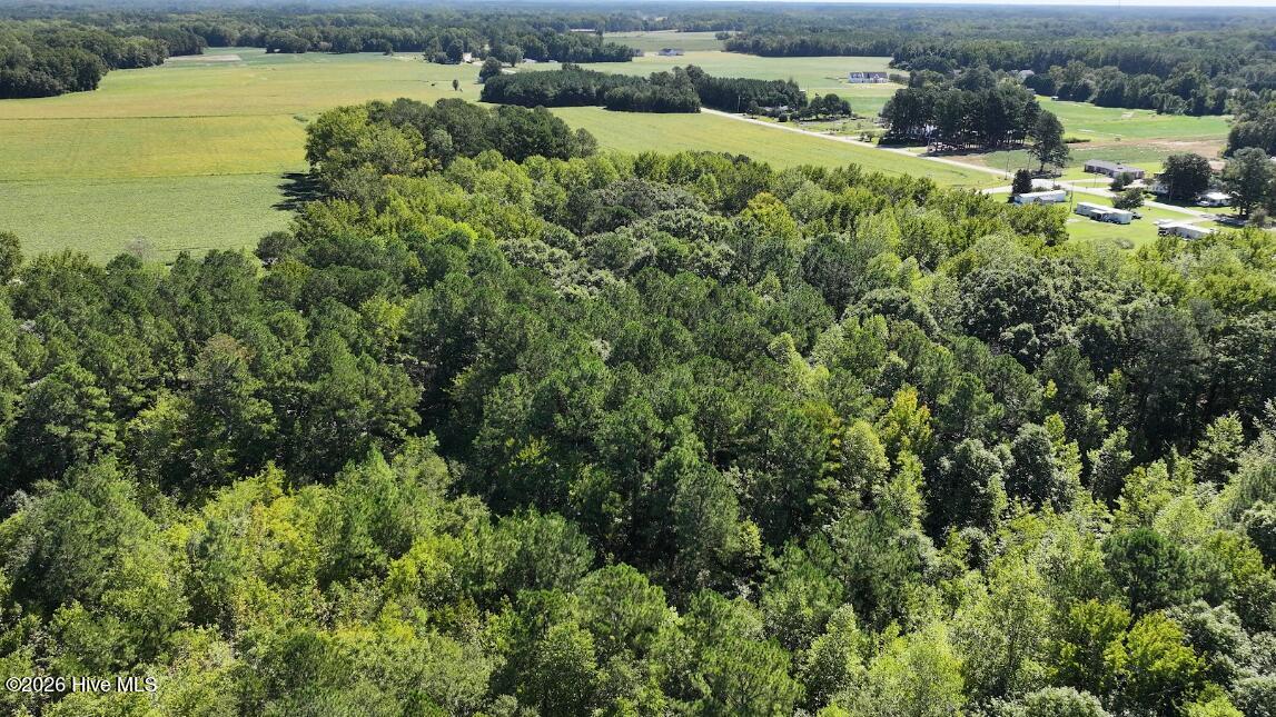 6033 Homestead Road Property Photo 10