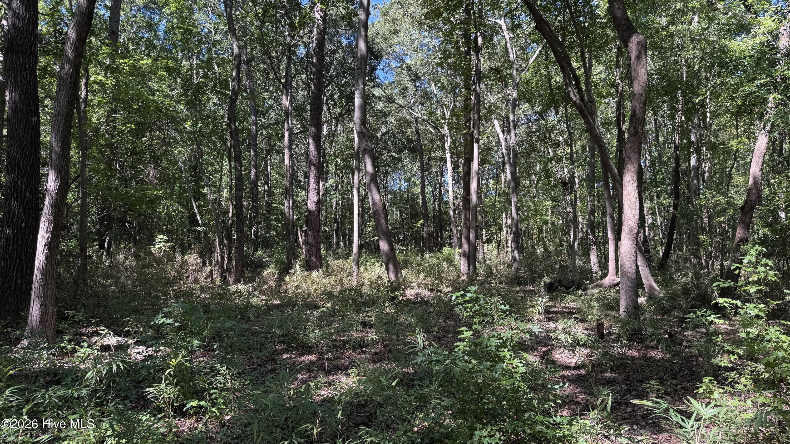 6033 Homestead Road Property Photo 16