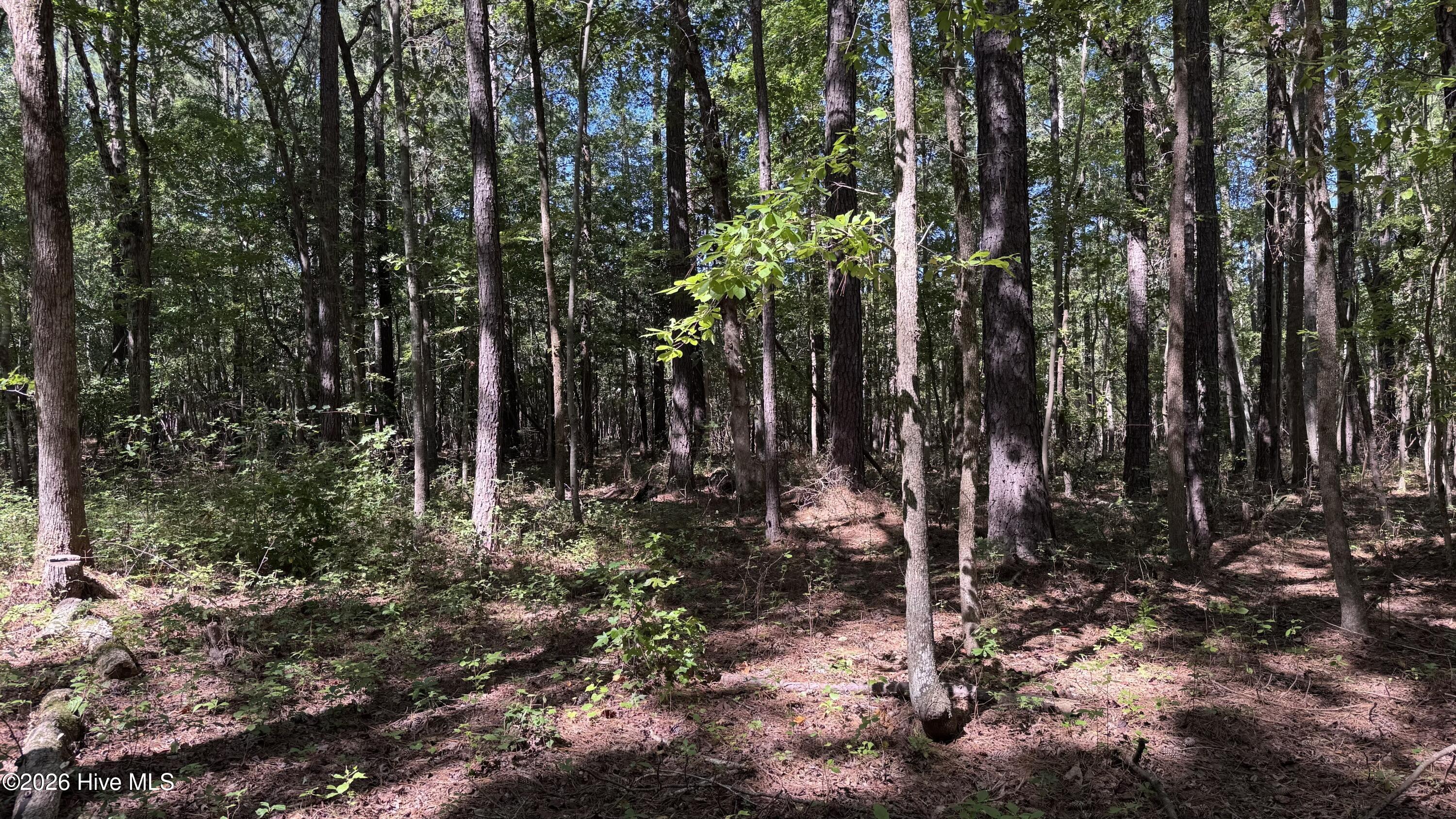 6033 Homestead Road Property Photo 18