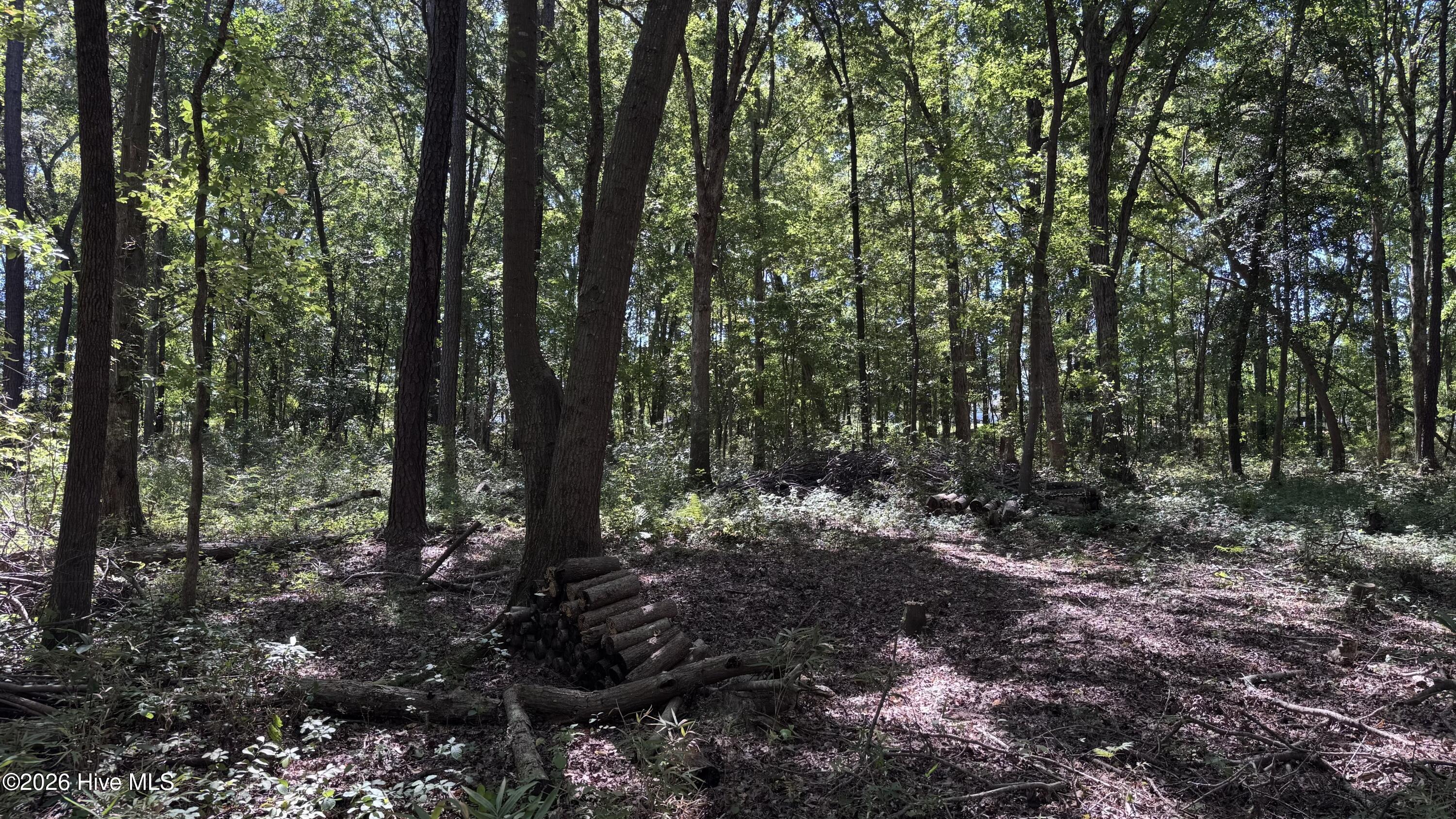 6033 Homestead Road Property Photo 19
