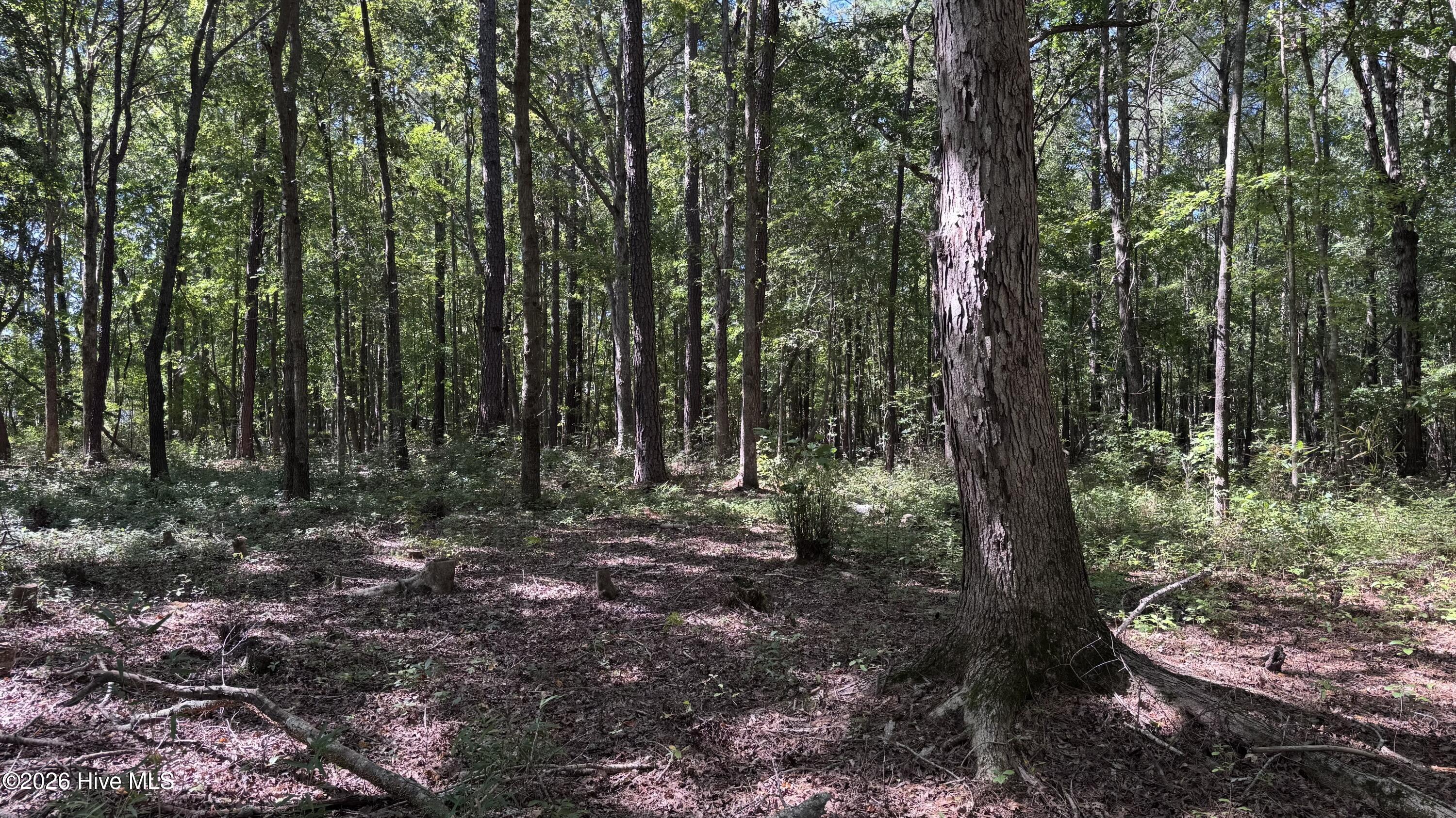 6033 Homestead Road Property Photo 20