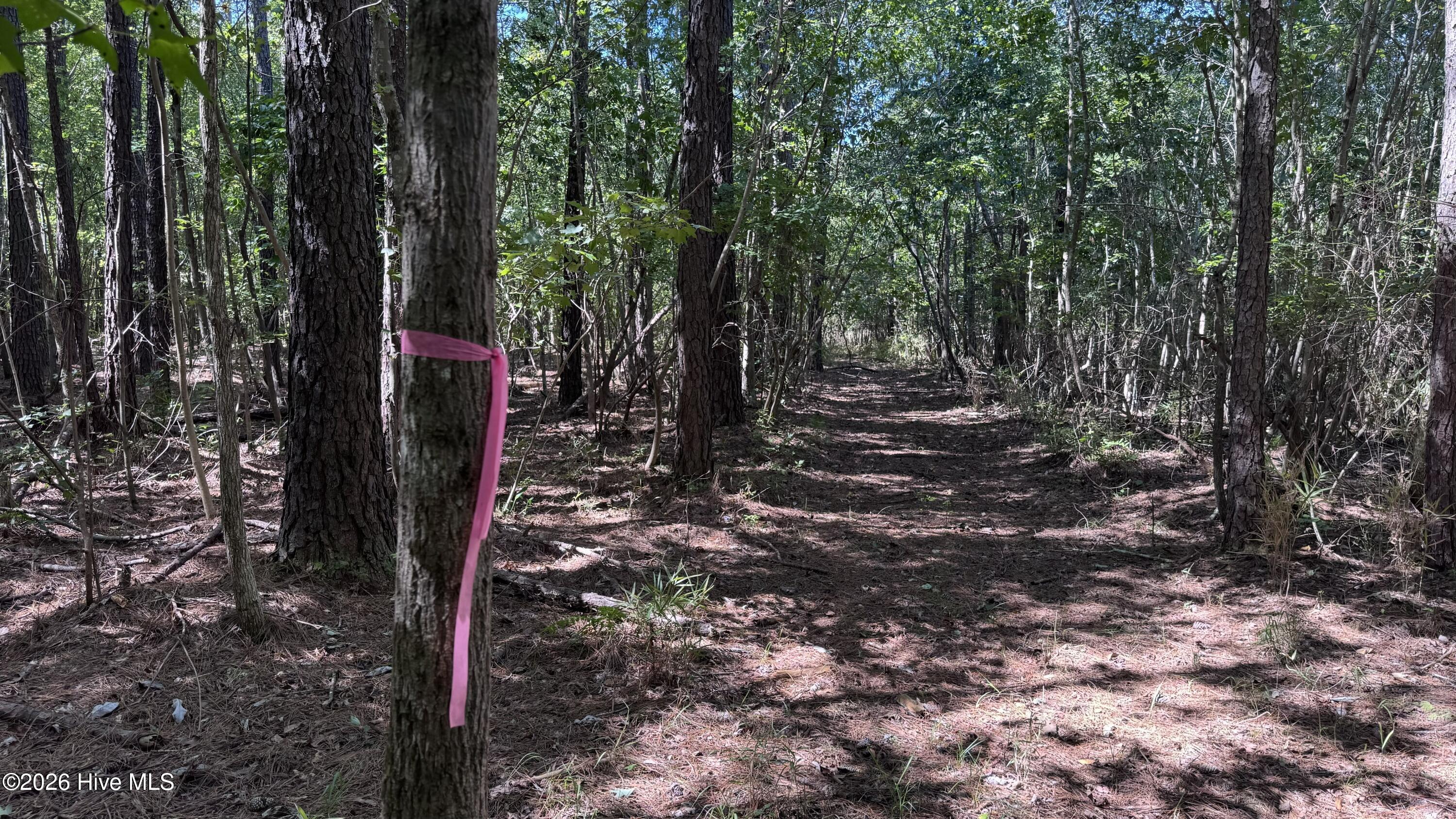 6033 Homestead Road Property Photo 22