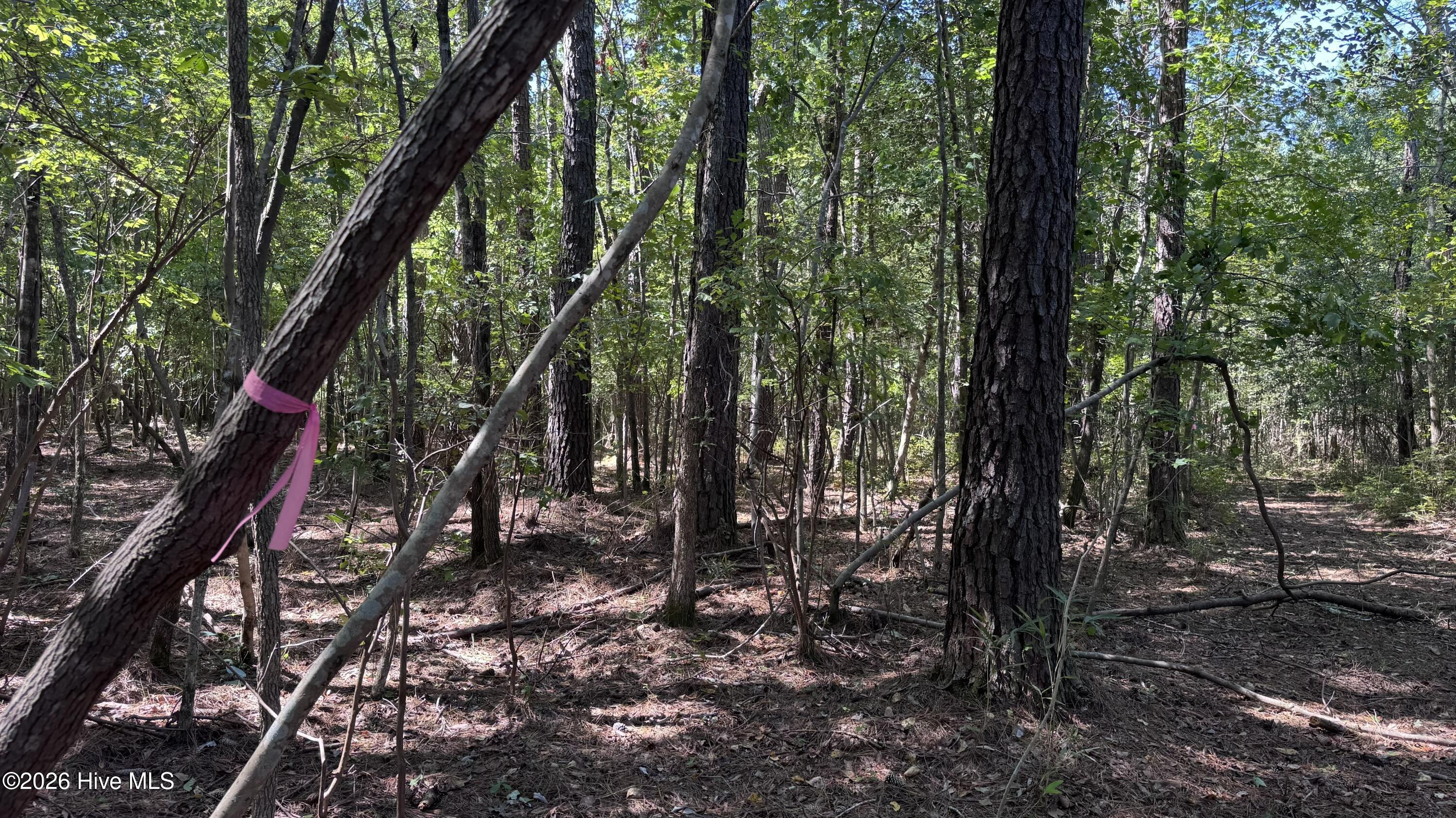 6033 Homestead Road Property Photo 23