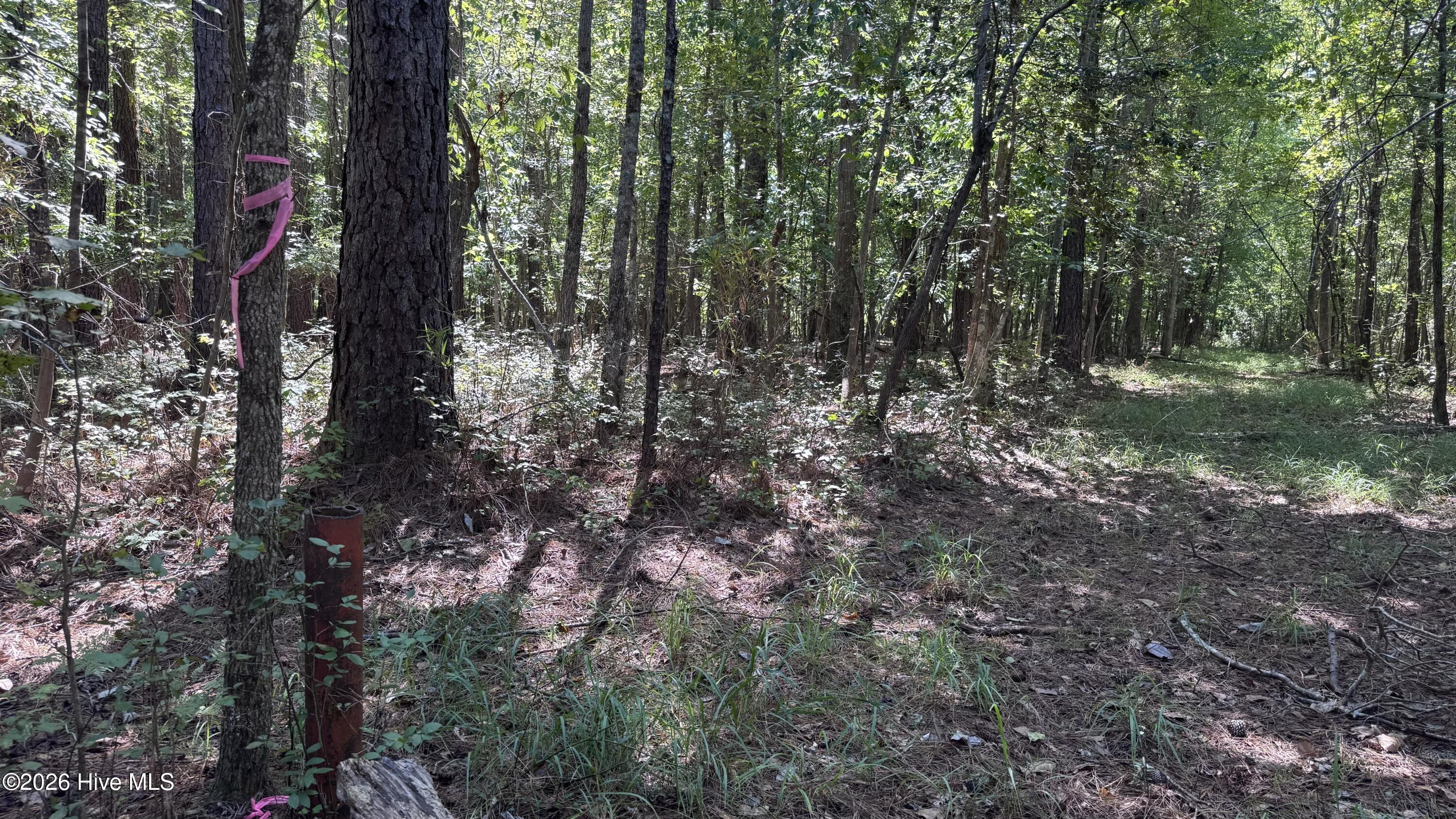 6033 Homestead Road Property Photo 24