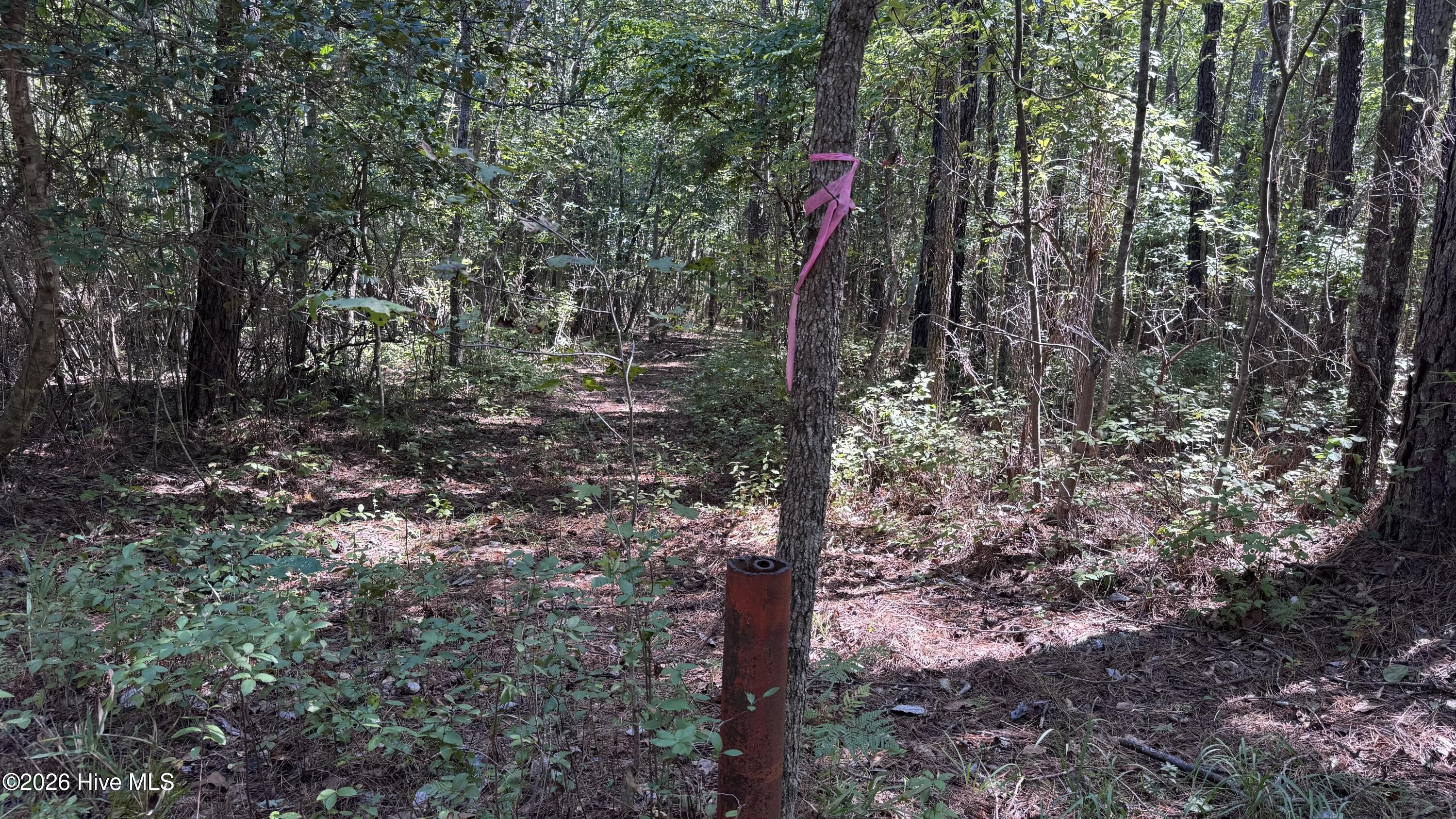 6033 Homestead Road Property Photo 25