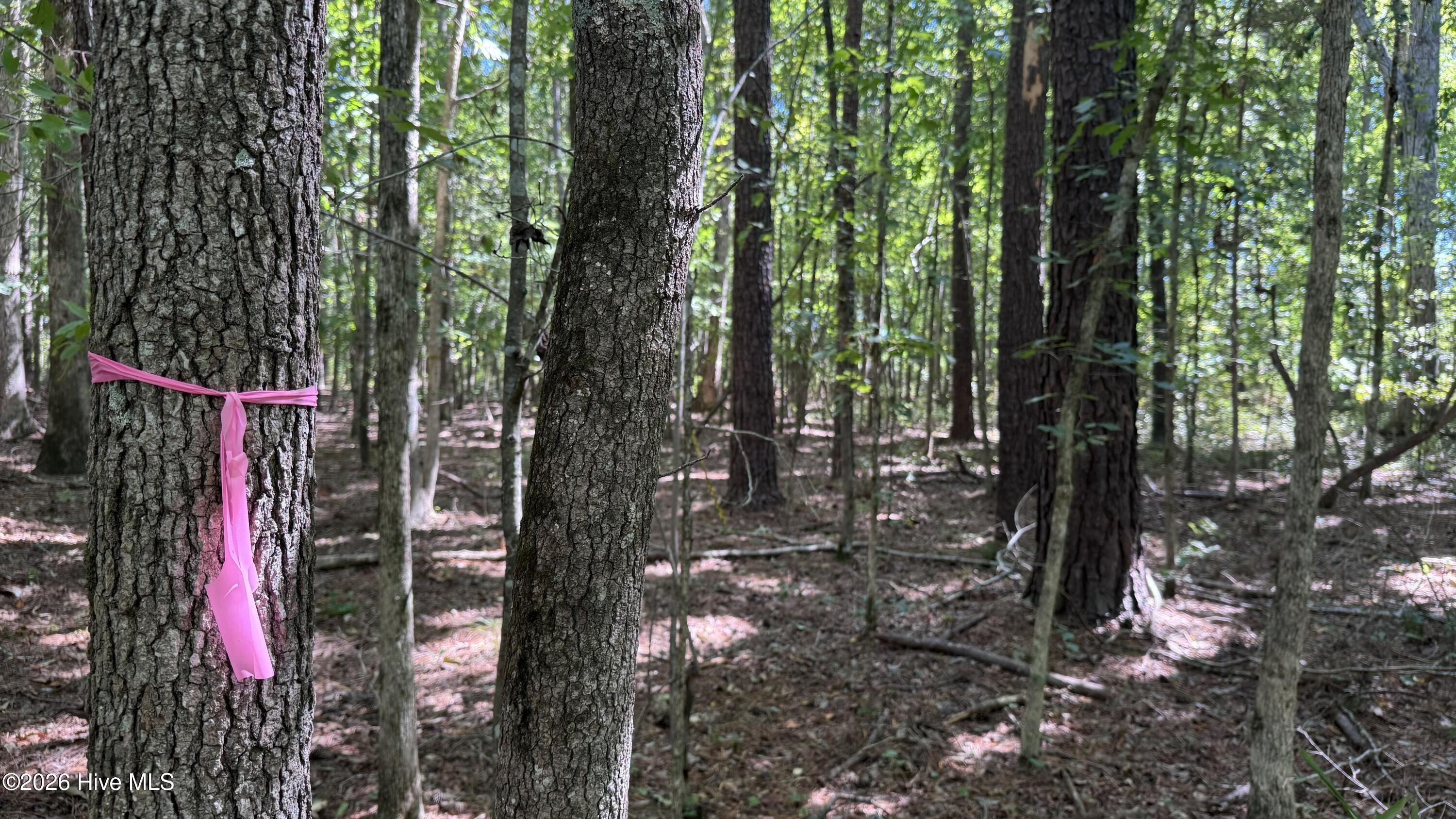 6033 Homestead Road Property Photo 27