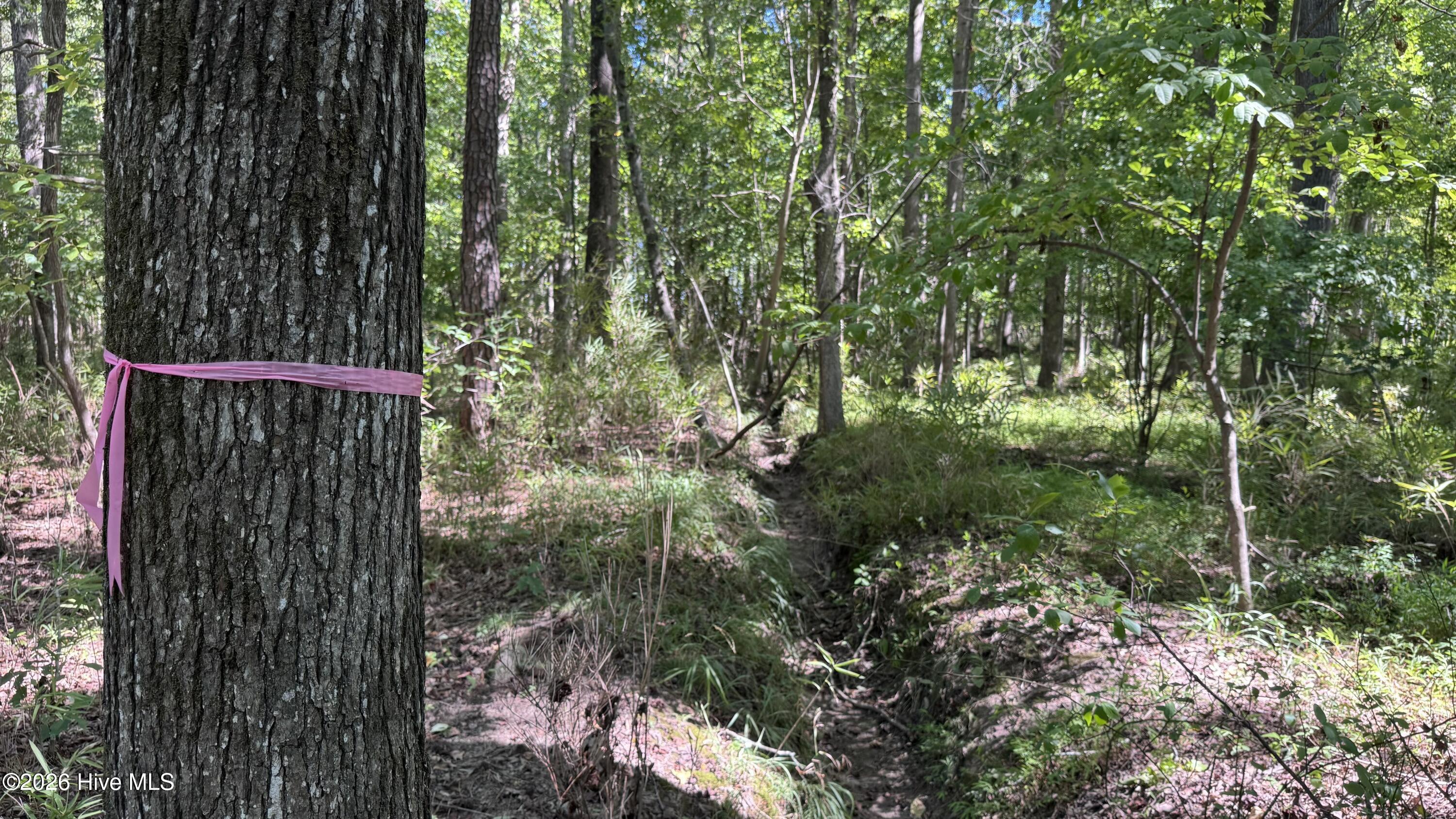 6033 Homestead Road Property Photo 29