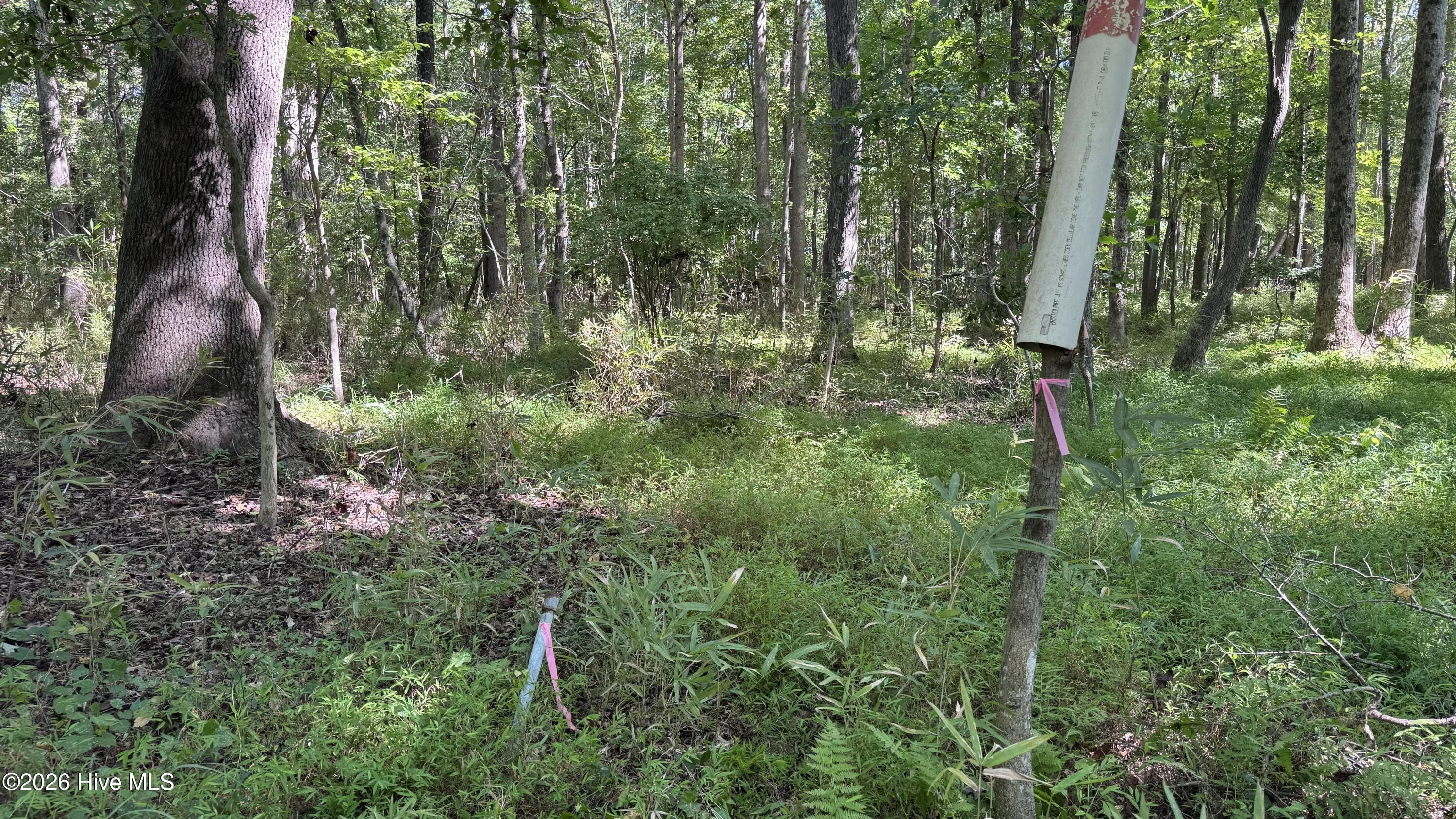6033 Homestead Road Property Photo 30