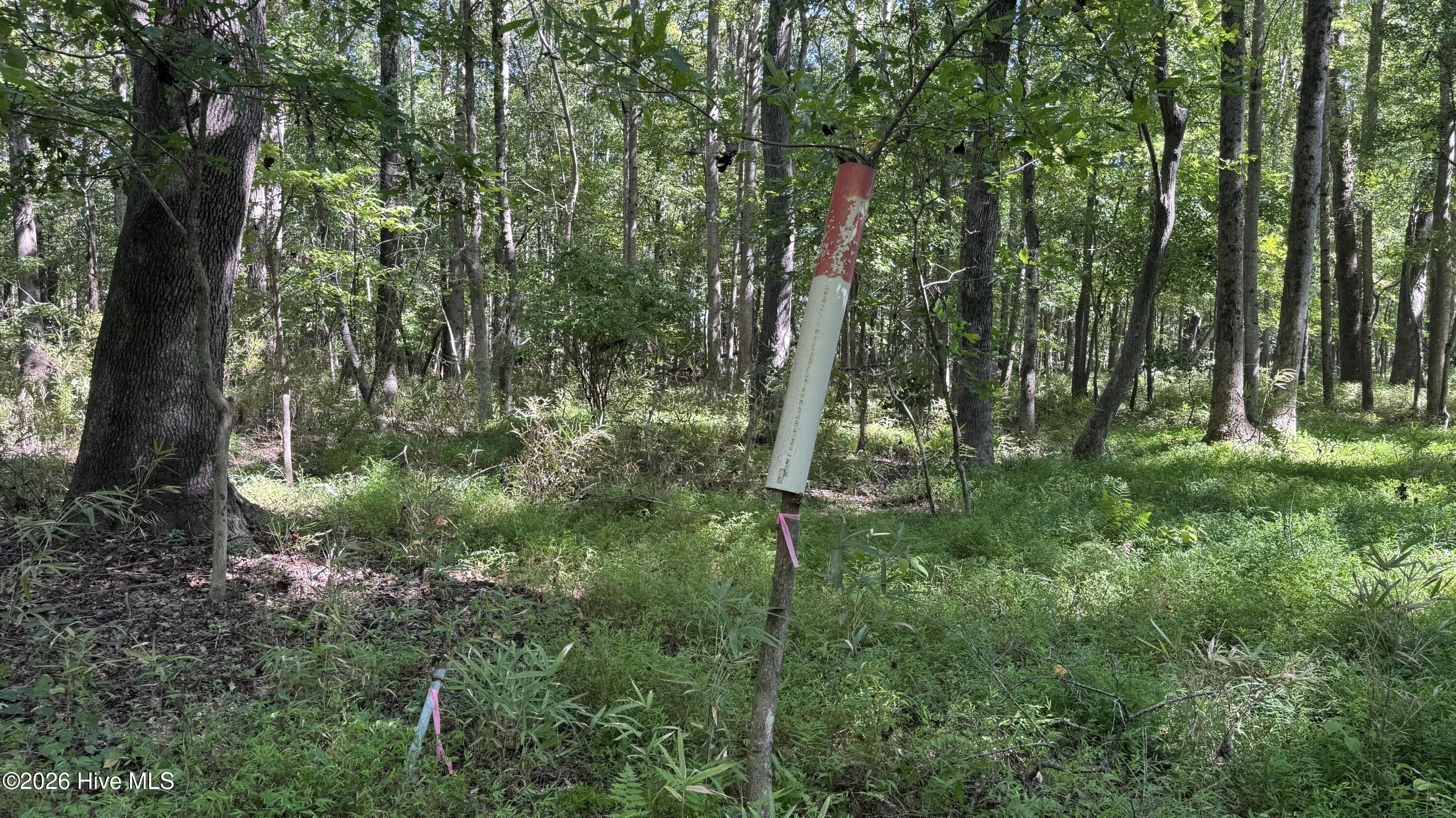 6033 Homestead Road Property Photo 31