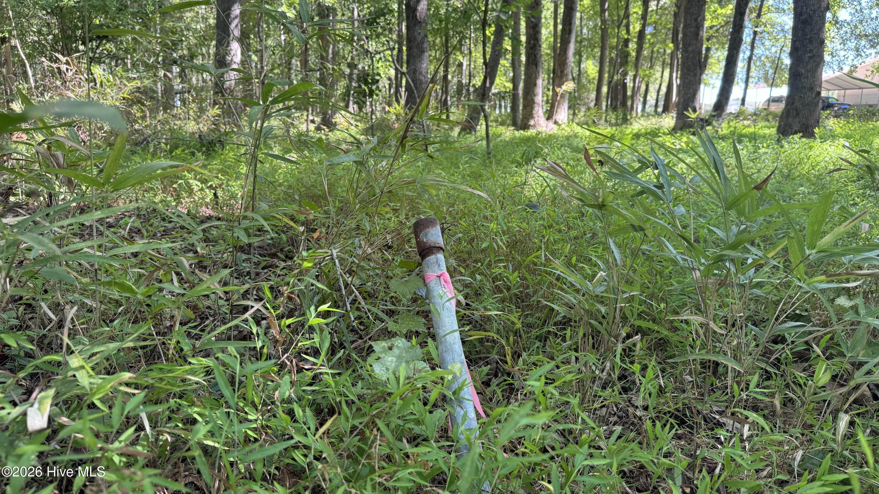 6033 Homestead Road Property Photo 32