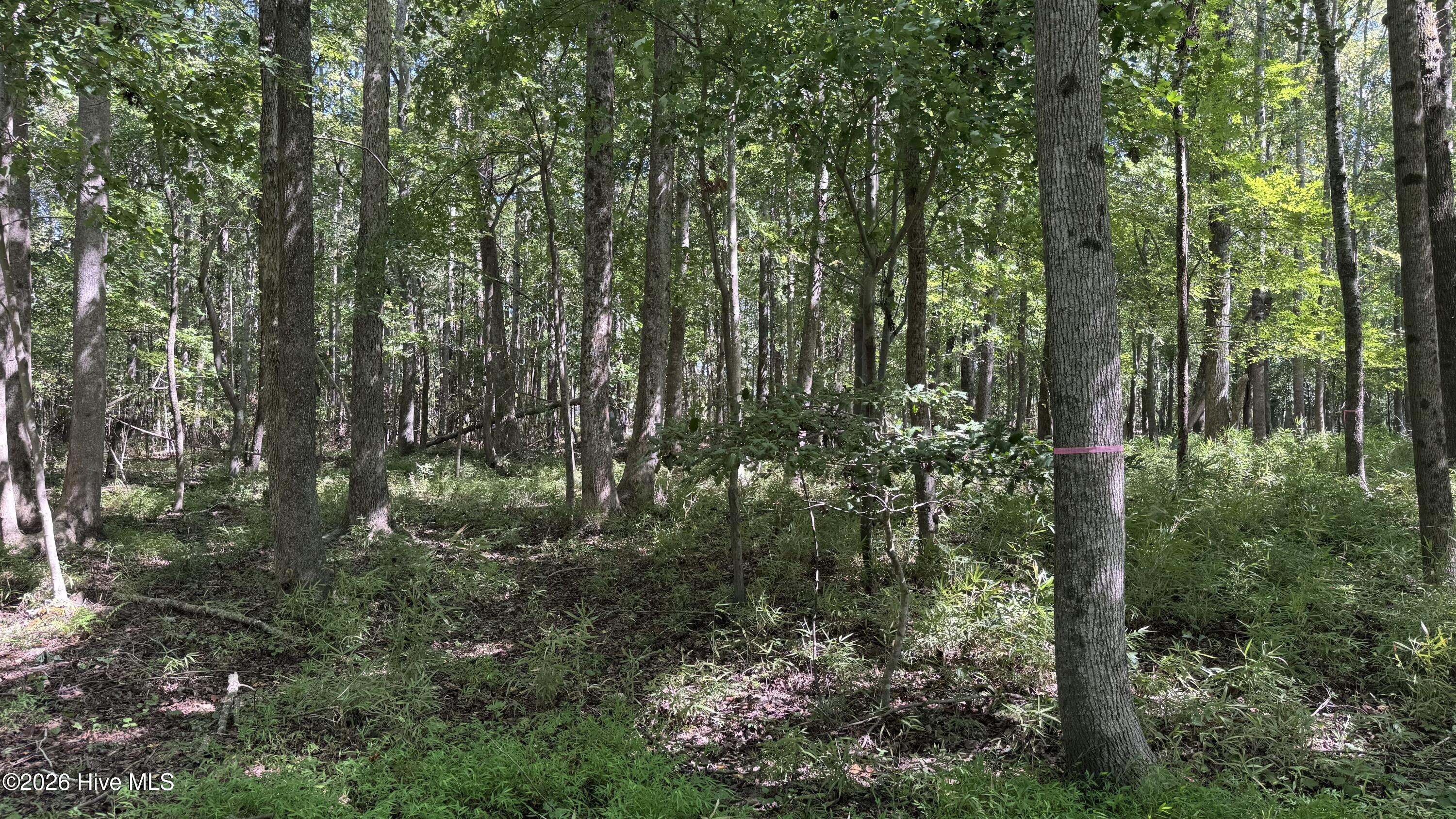 6033 Homestead Road Property Photo 33